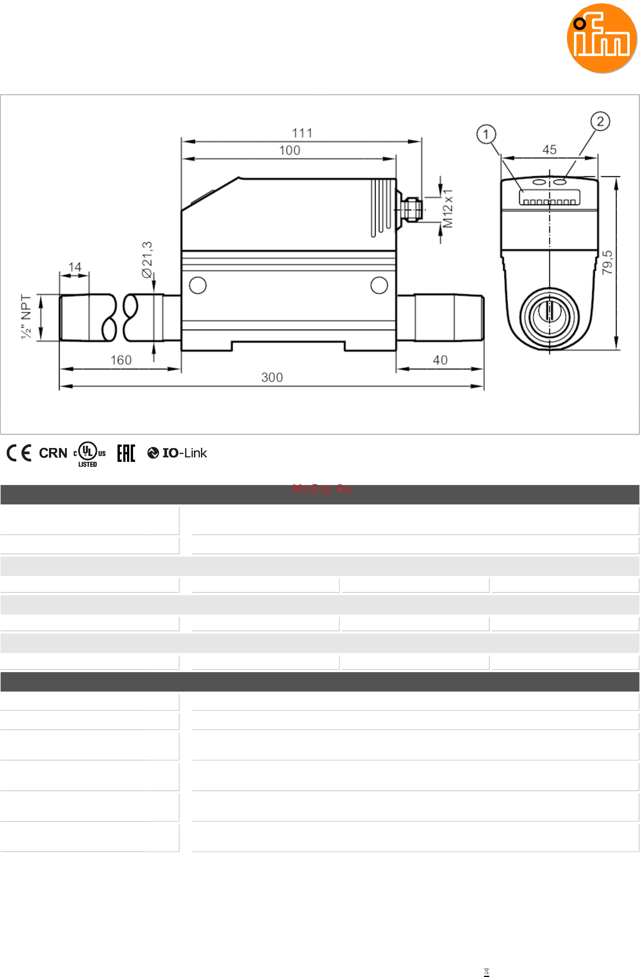 ifm SD6101 Техническое описание онлайн