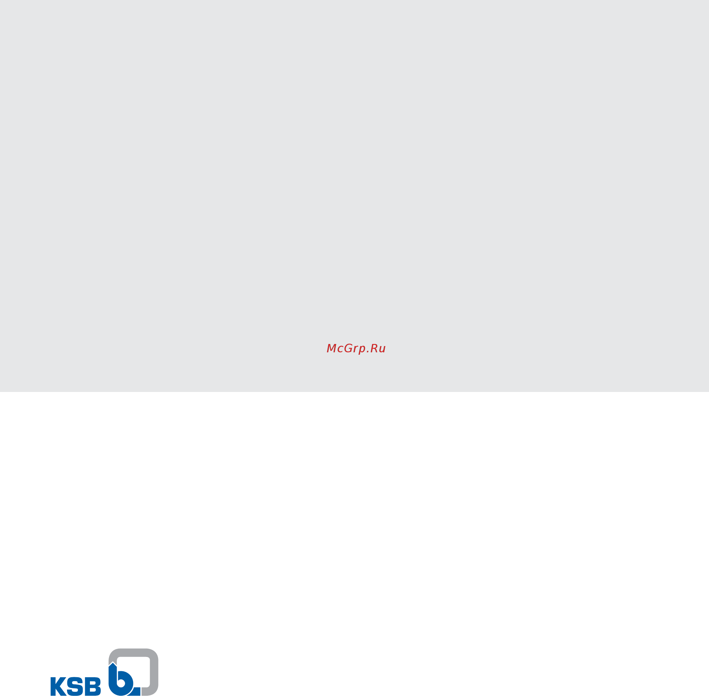 KSB MegaCPK 040-025-200 Технические данные онлайн [12/12] 486197