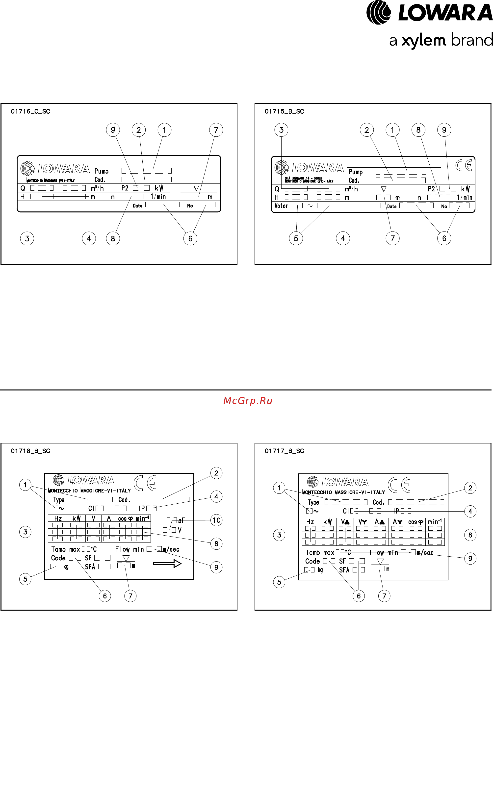 Lowara e-GS 12GS30T/B-L4C [16/92] Описание