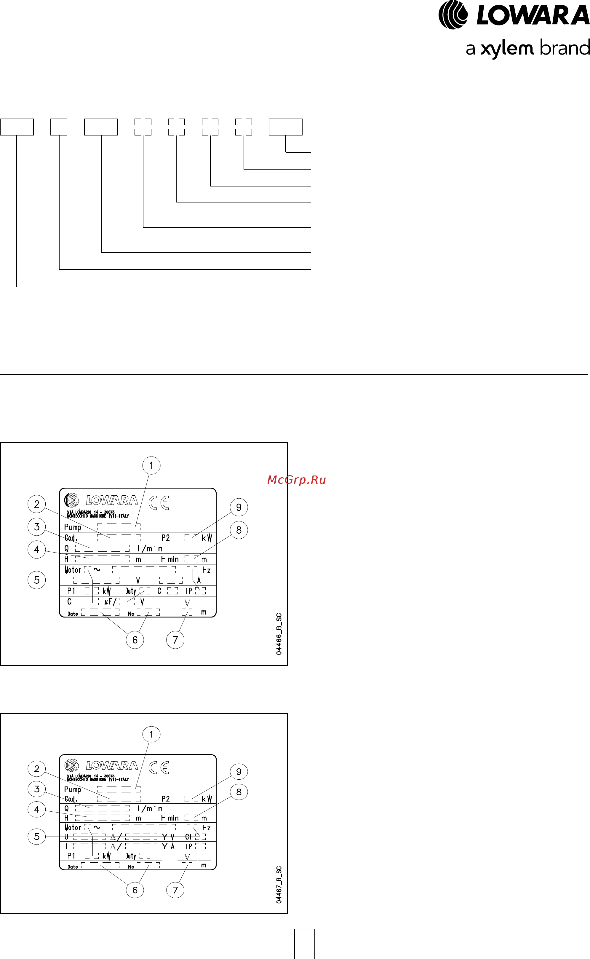 Lowara e-GS 12GS30T/B-L4C [8/92] Описание