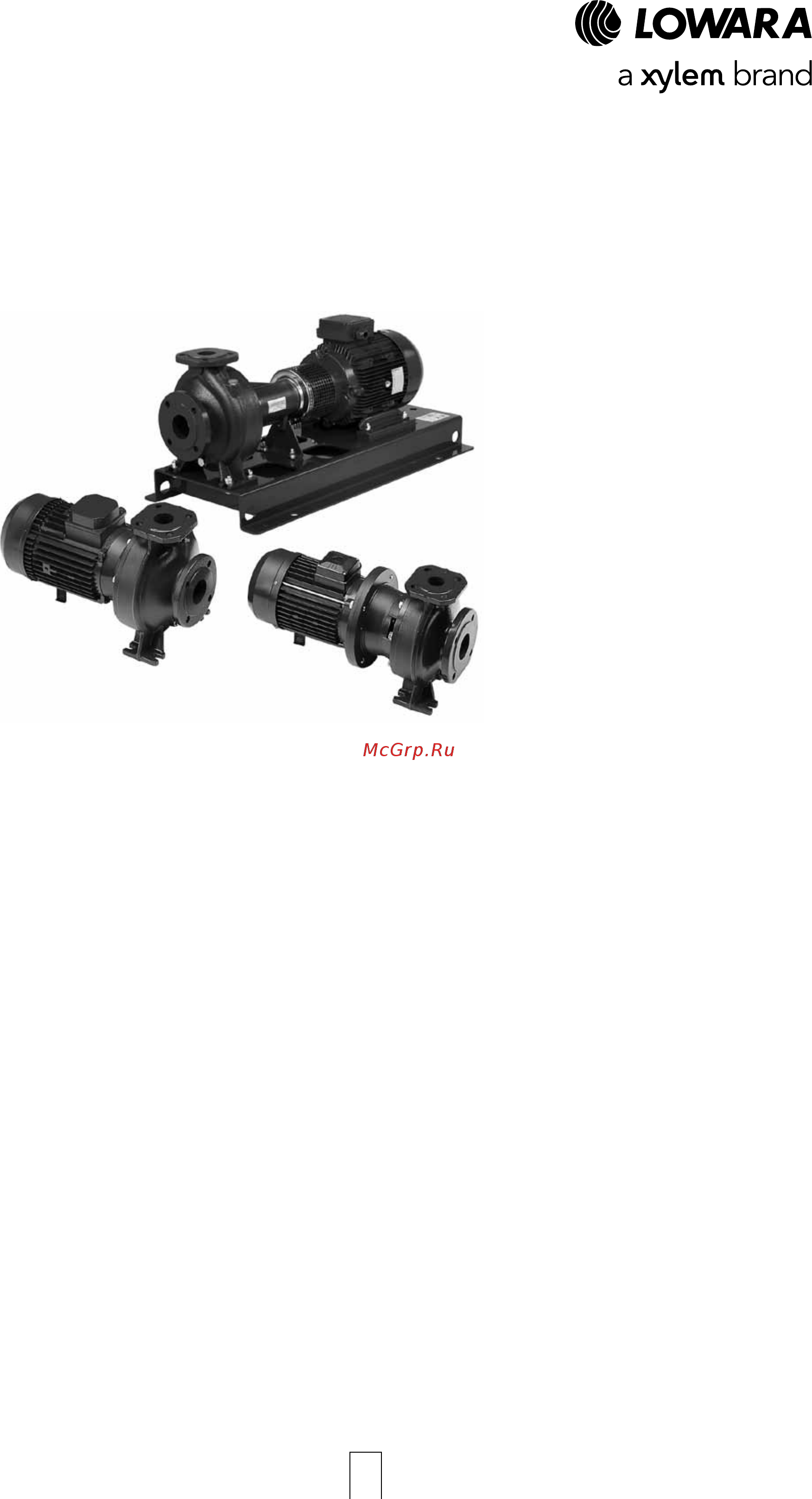 Lowara FHE 32-125/07 [5/136] Технические характеристики насос