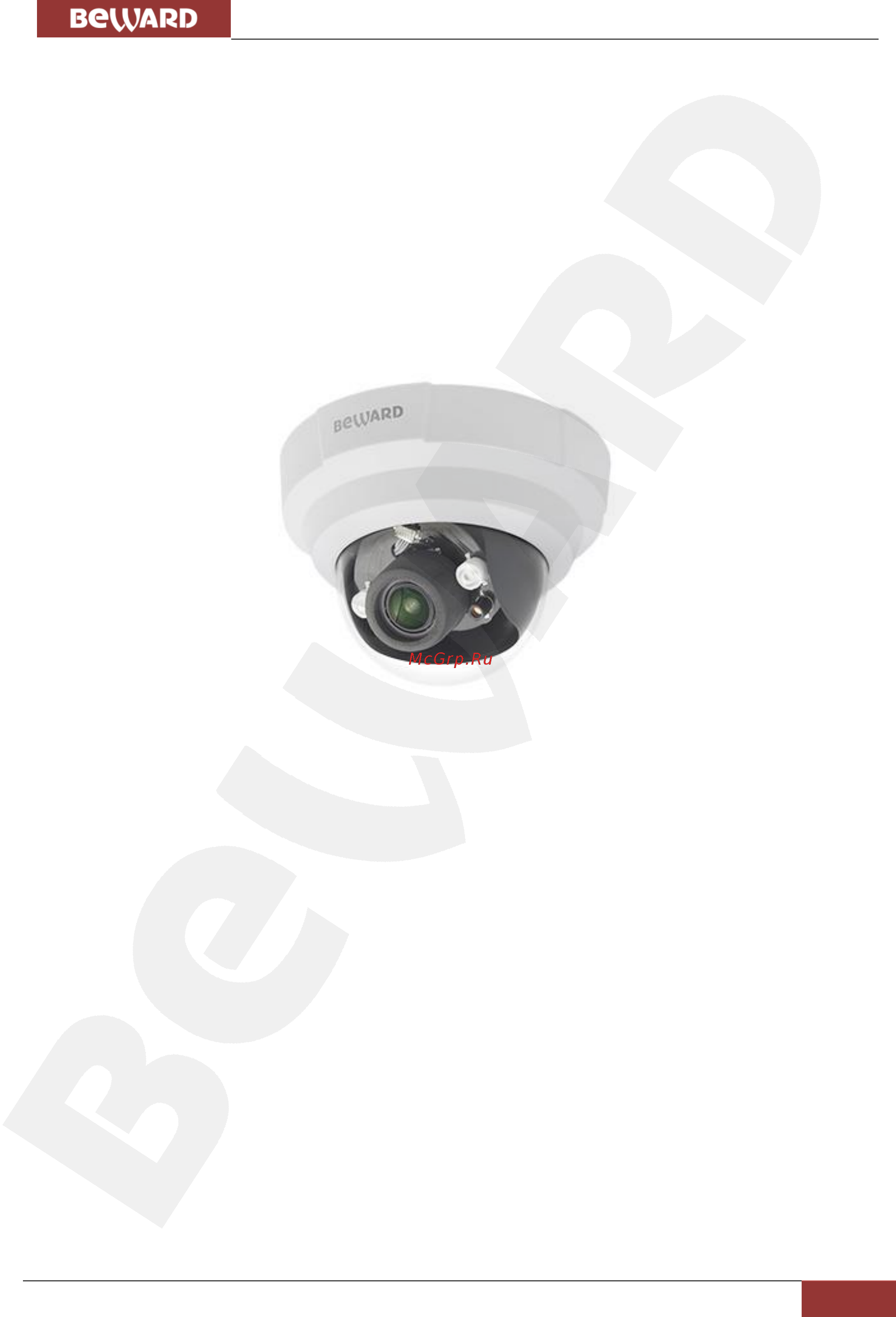 BEWARD B1510DR [5/78] Глава 2 общие сведения