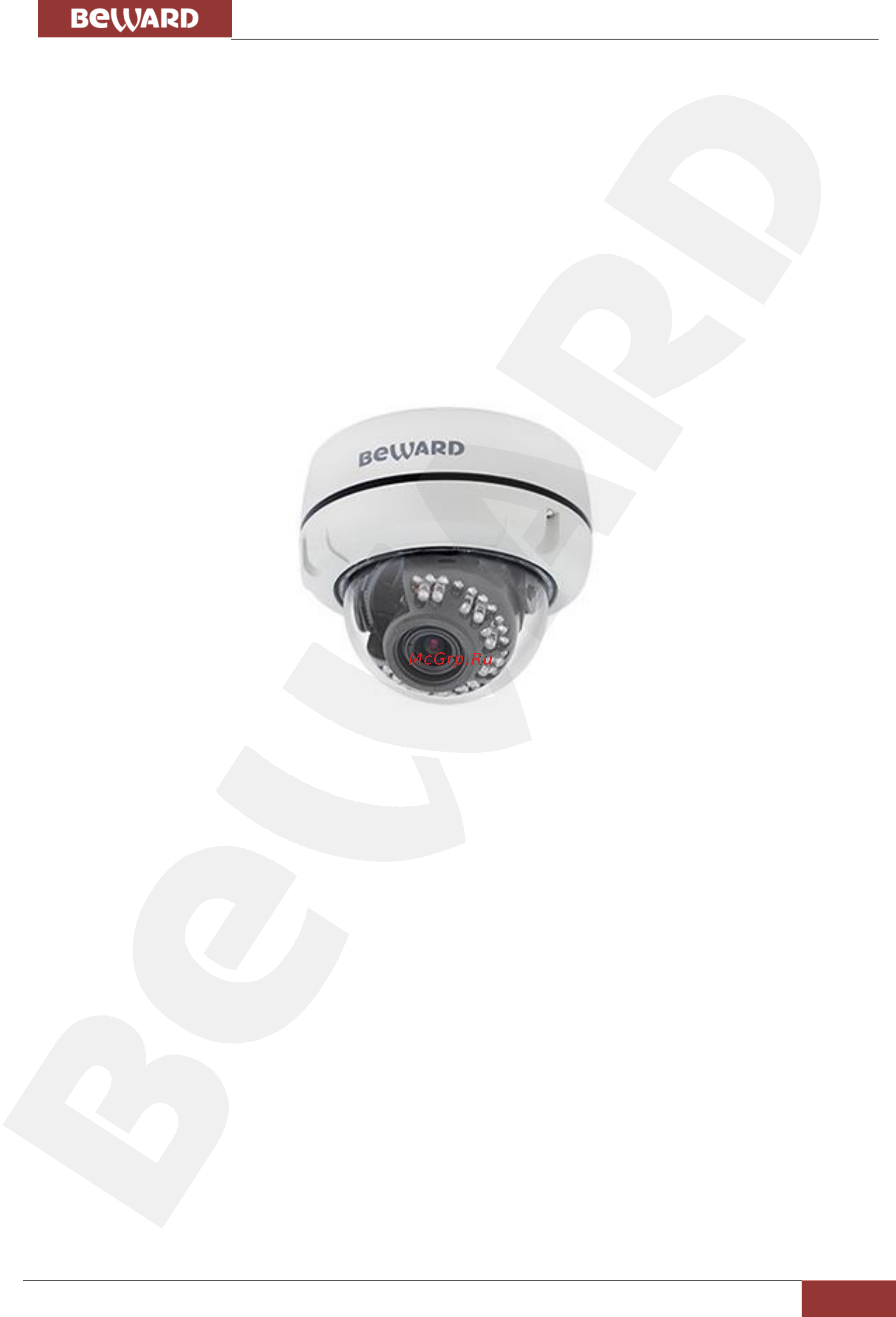 BEWARD B1510DV [5/85] Глава 2 общие сведения