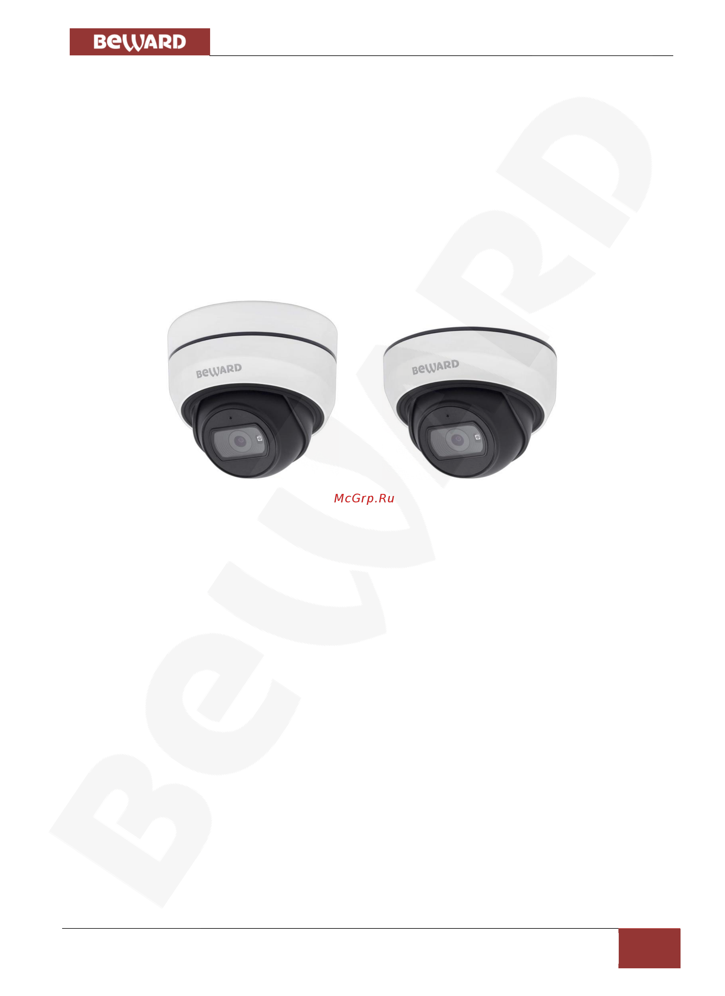 BEWARD SV3210DB [5/67] Глава 2 общие сведения