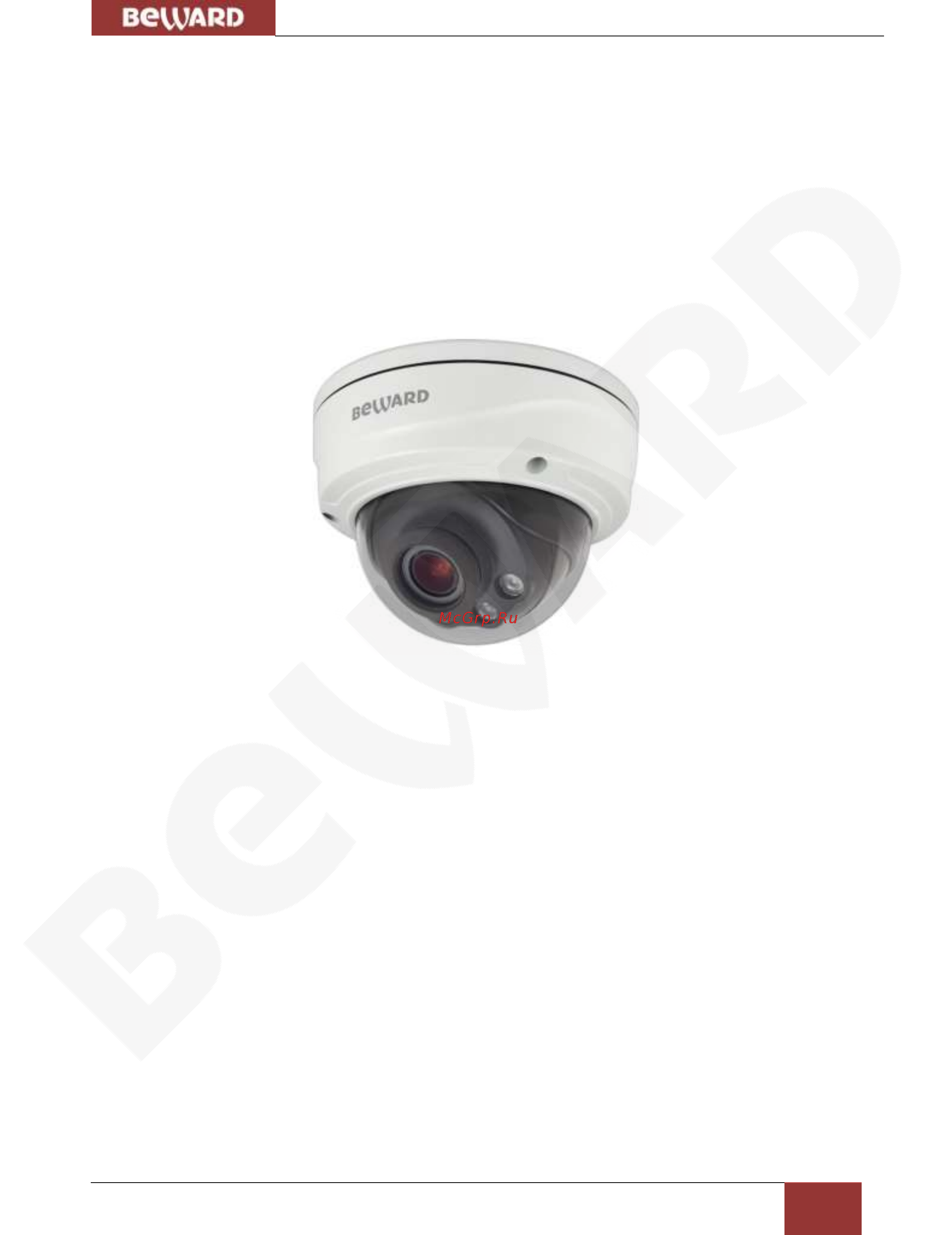 BEWARD SV3210DVZ [5/64] Глава 2 общие сведения