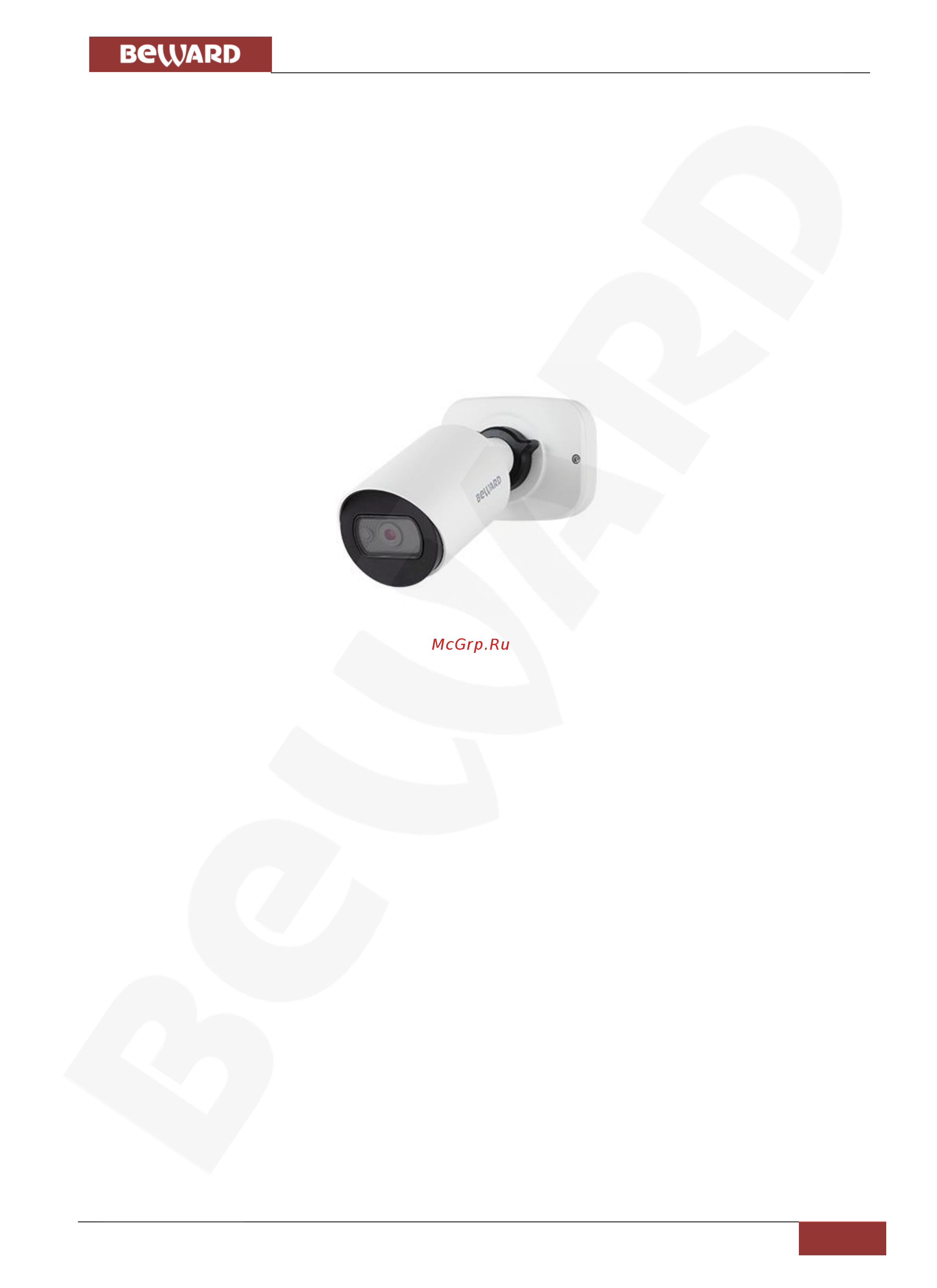 BEWARD SV3210RCB [5/70] Глава 2 общие сведения