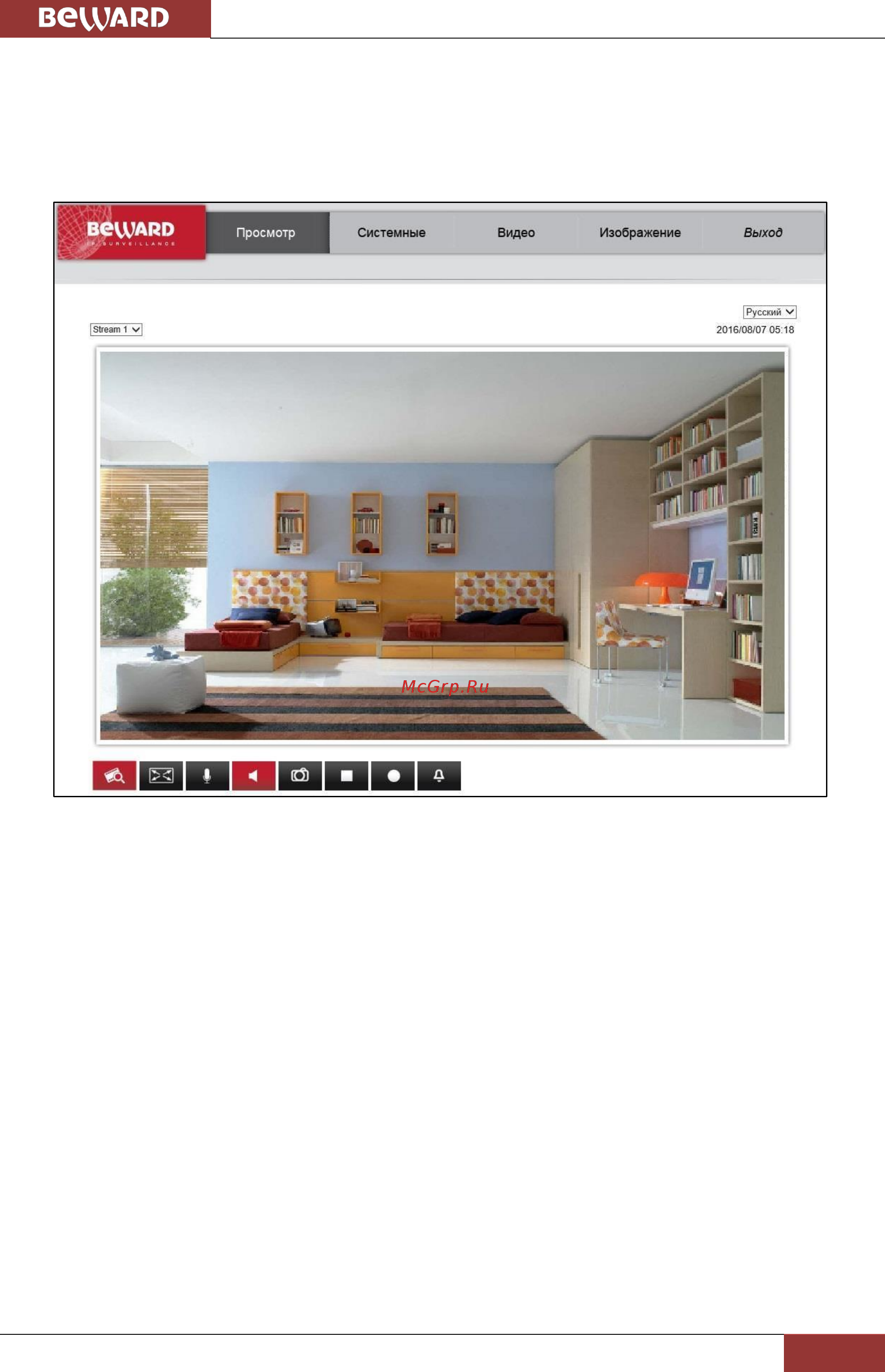 BEWARD BD4685 [18/127] Основные функции веб интерфейса