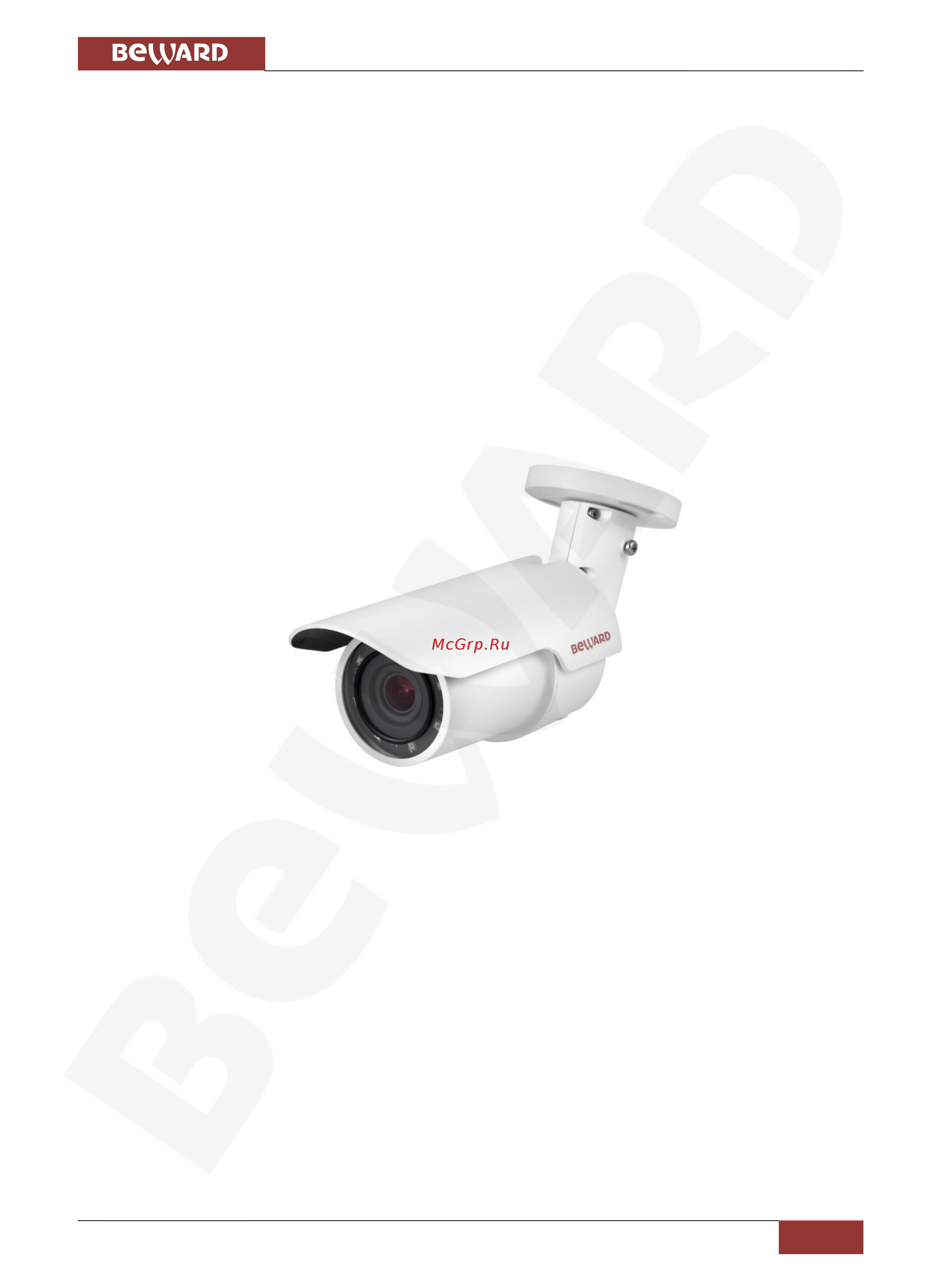 BEWARD BD4685RVZ [5/75] Общие сведения