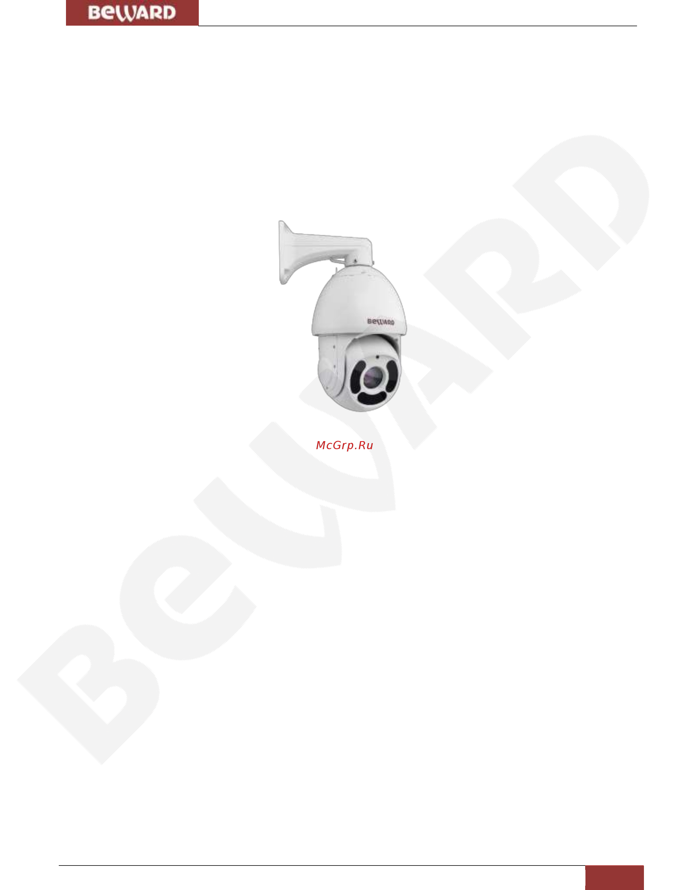 BEWARD SV3210-R30 [5/63] Глава 2 общие сведения