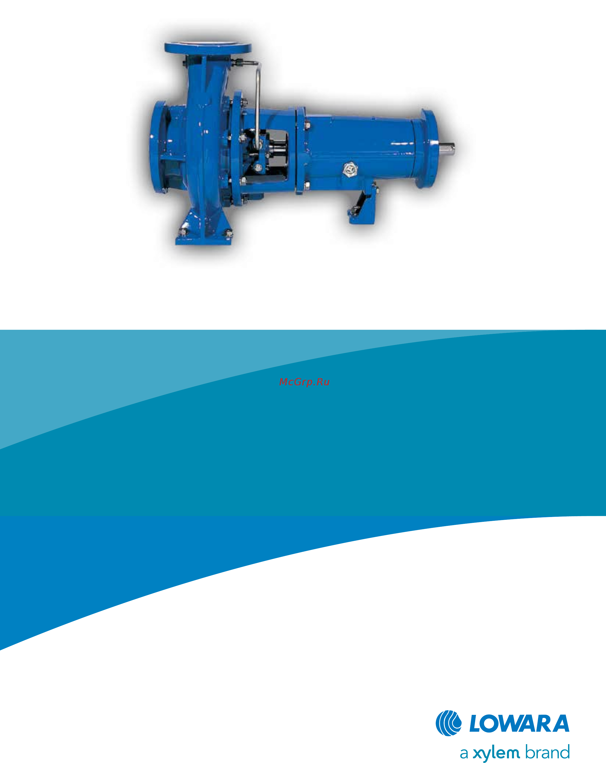 Lowara LS 300-500 SF Инструкция по эксплуатации онлайн