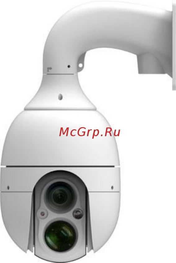 Microdigital MDS-i3091-2H [3/39] Основные функции