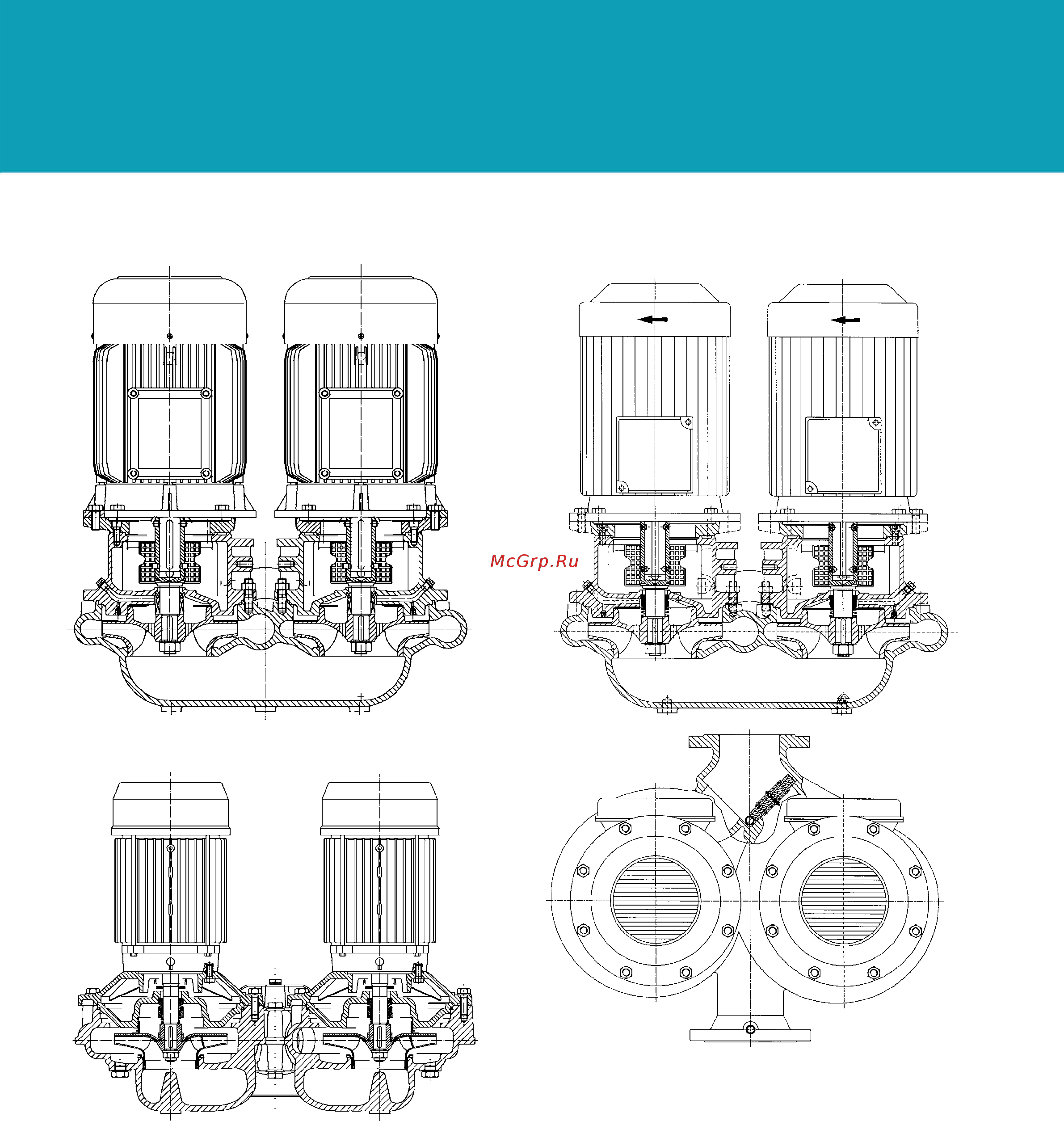 Lowara LRZ 65-160 U 074 [11/16] Close coupled with special motor shaft extension