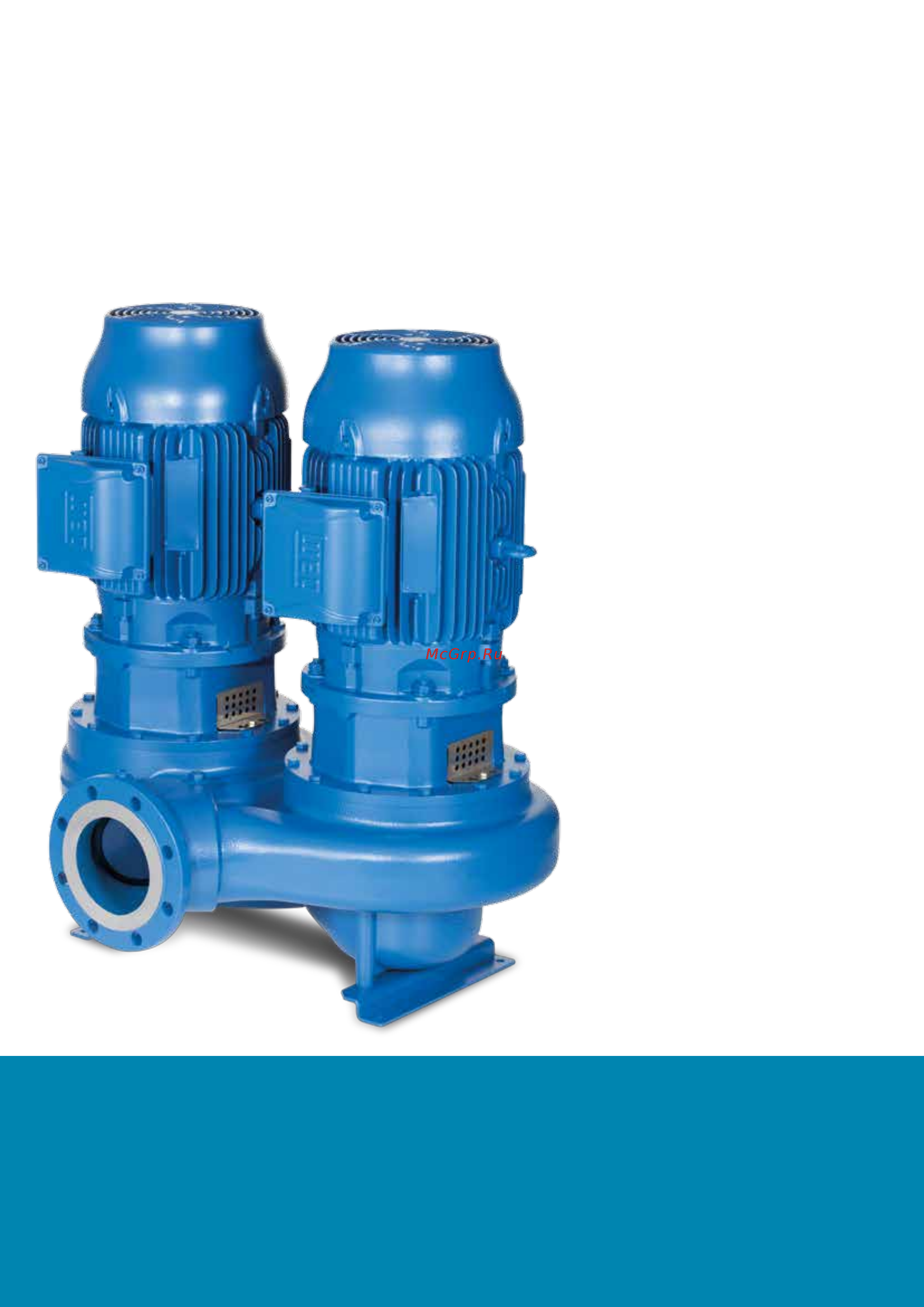 Lowara LNTS 125-160/22/P45RCC4 [3/4] High efficiency