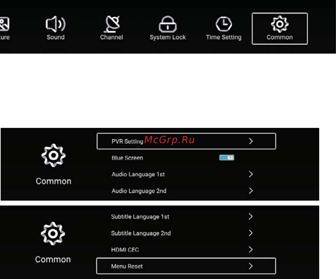ERGO LE43CT5520AK [97/106] Common setting