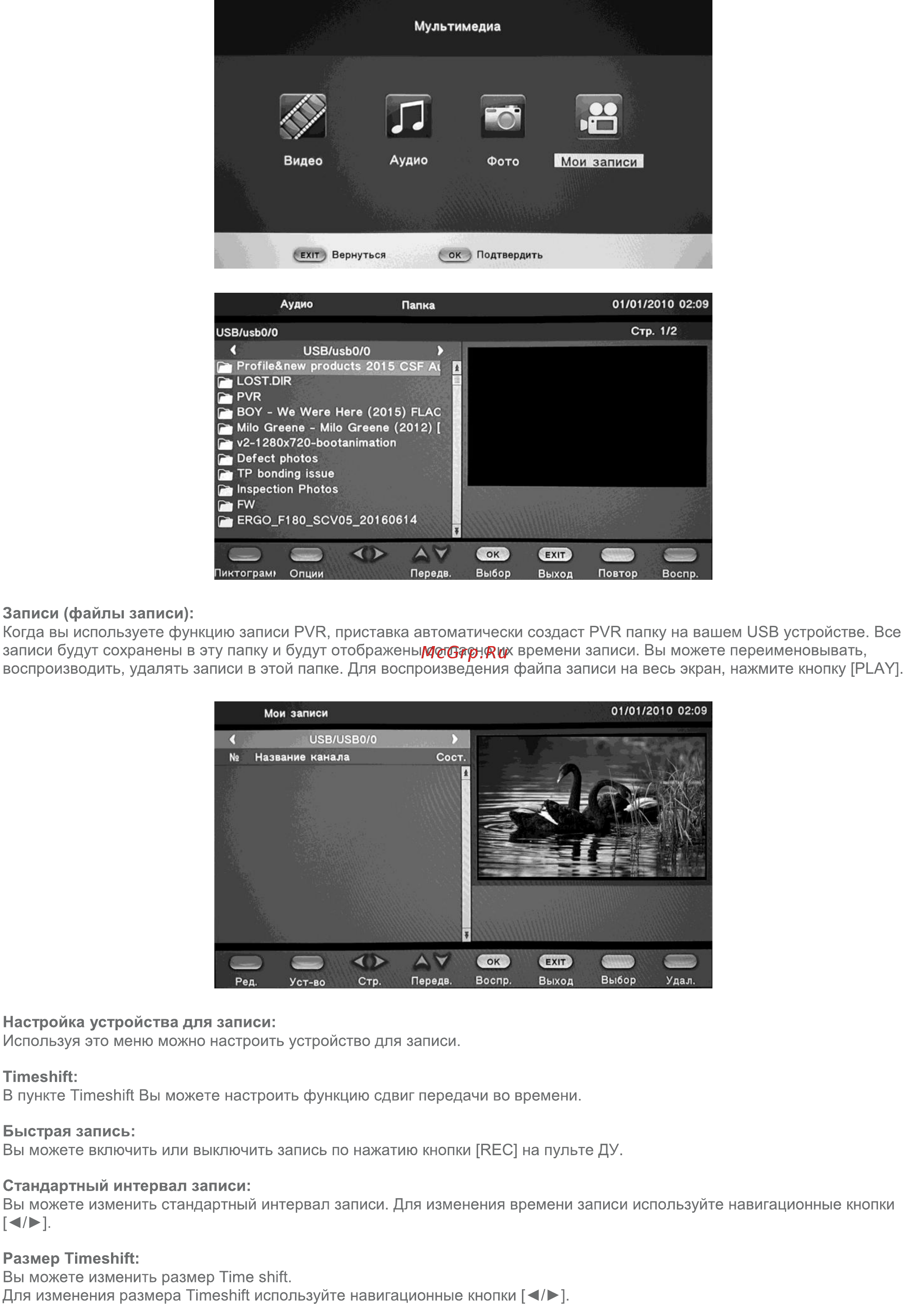 ERGO DVB-T2 1217 [15/19] Timeshift в пункте timeshift вы можете настроить функцию сдвиг передачи во времени