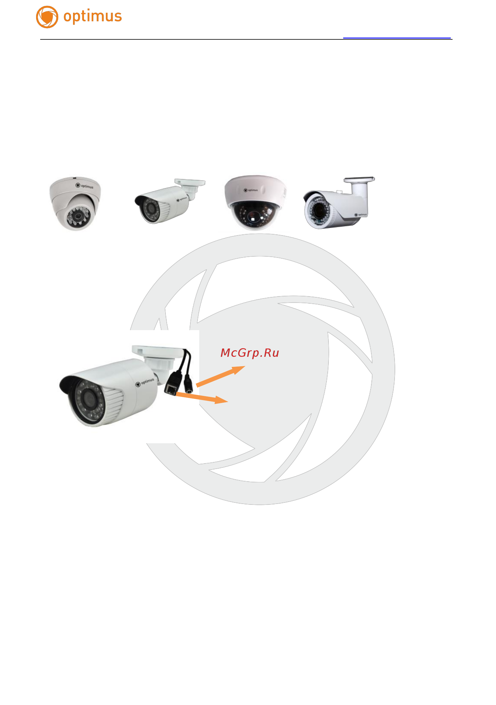 Optimus IP-E042.1(3.6)P_V.2 [4/34] Введение интерфейс