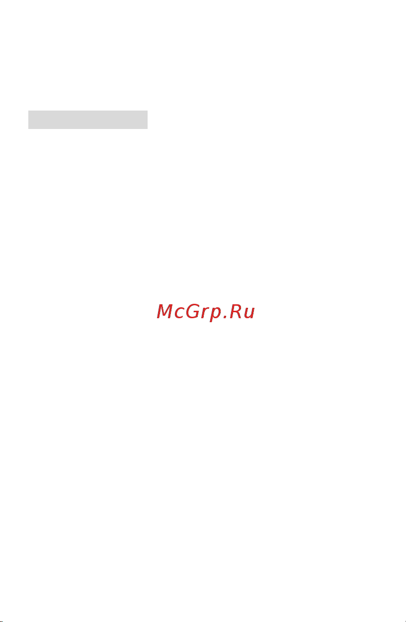 Proconnect MAS838L (DT858L) (13-3022) [11/11] Руководство пользователя