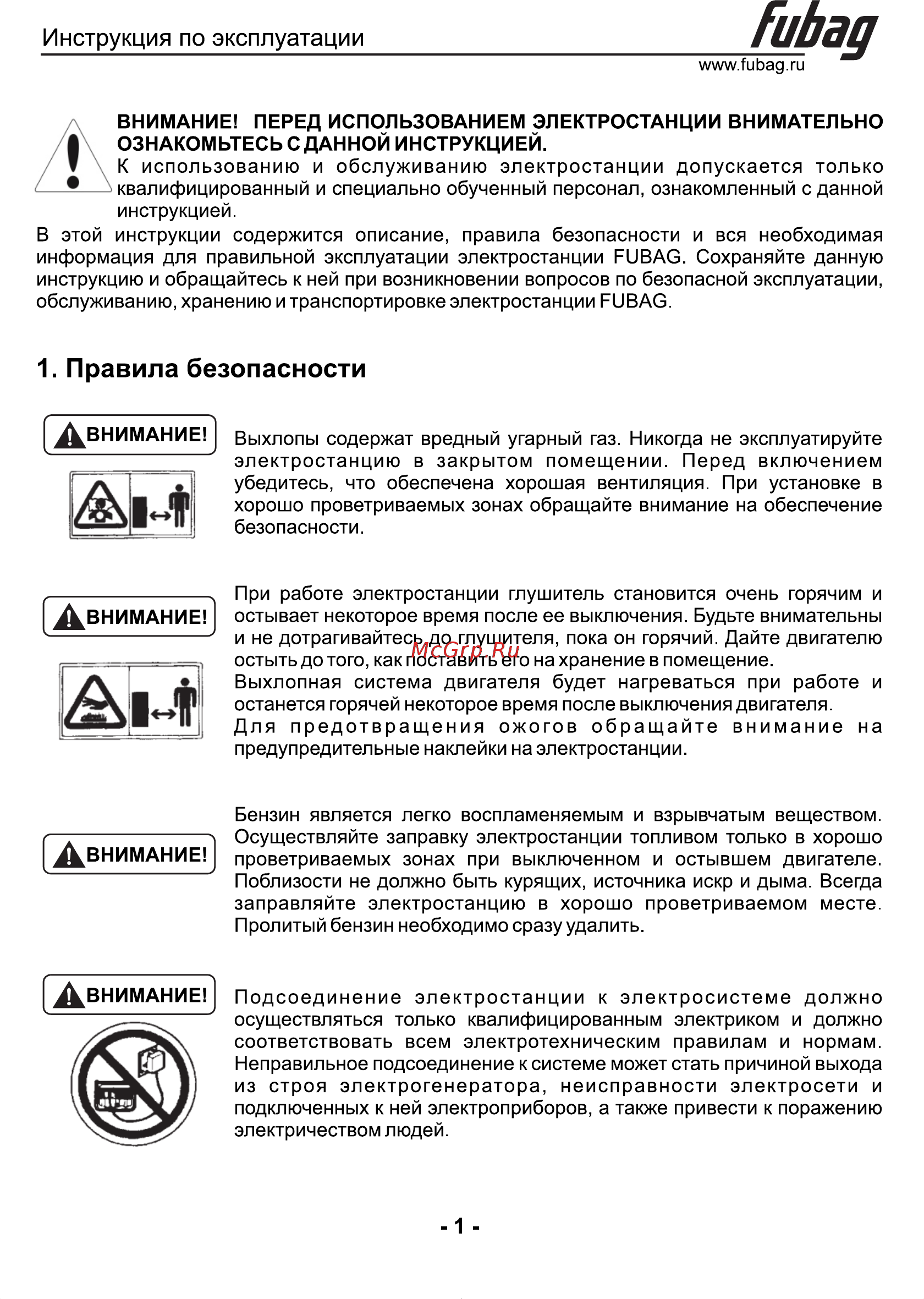 Fubag с электростартером BS 14000 DA ES 431241 [2/17] Инструкция по эксплуатации
