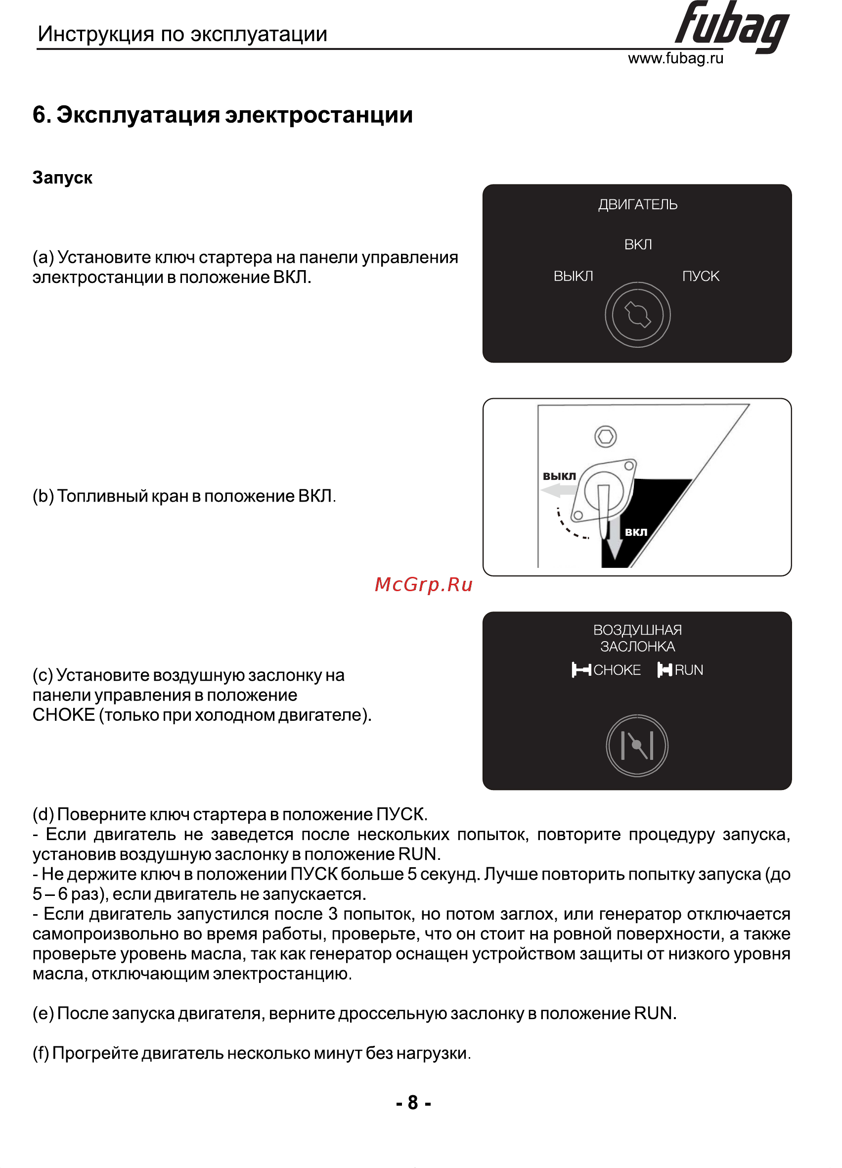 Fubag с электростартером BS 14000 DA ES 431241 [9/17] Страница 8