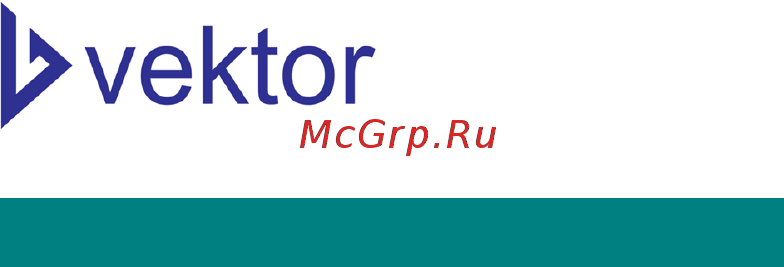 Вектор VPG-70E Инструкция по эксплуатации онлайн [20/29] 500458