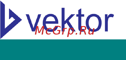 Вектор VPG-70E Инструкция по эксплуатации онлайн [9/29] 500458