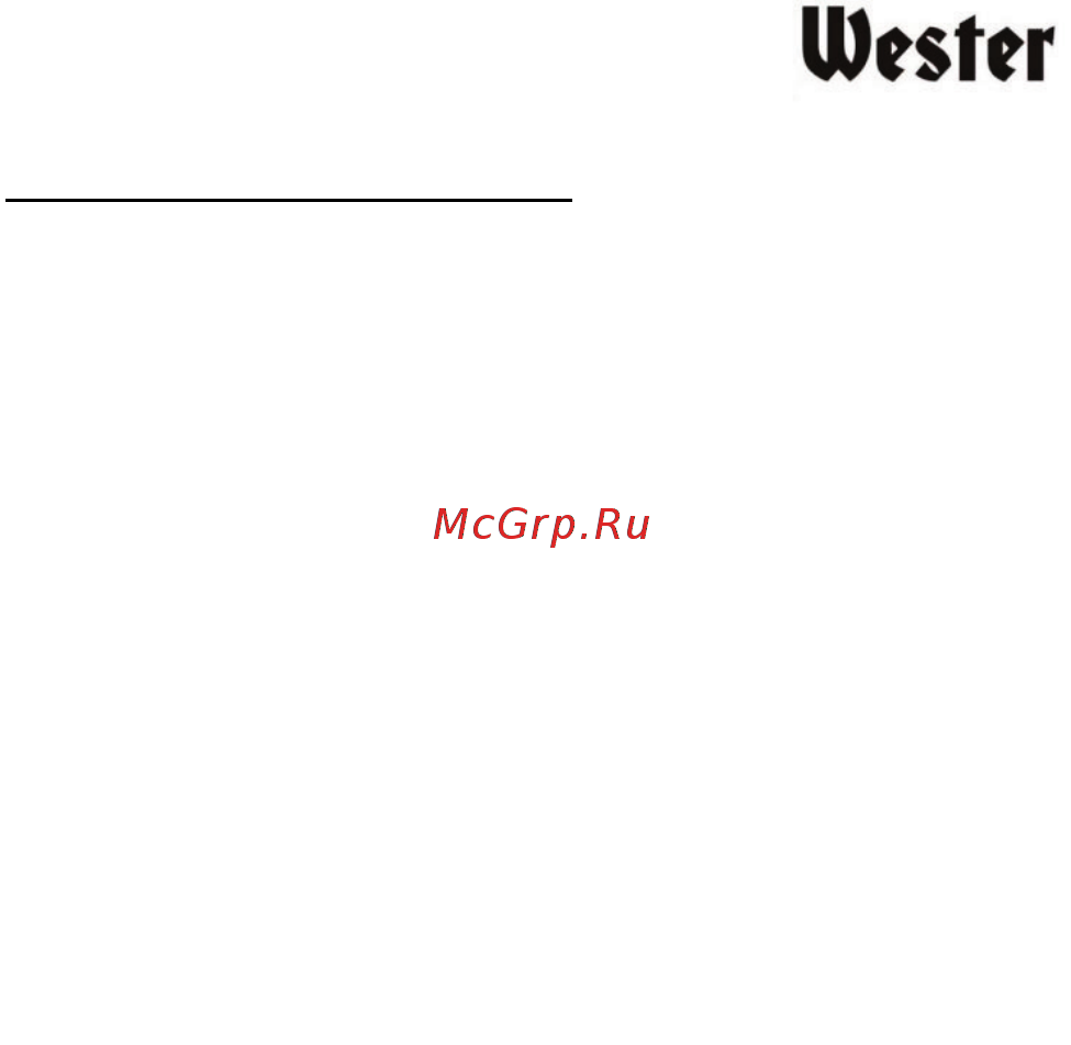 Wester Zeus 400 (901-008) Инструкция по эксплуатации онлайн [5/20] 571160