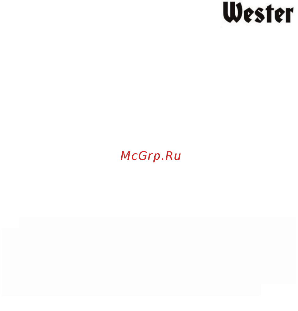 Wester Zeus 400 (901-008) Инструкция по эксплуатации онлайн [6/20] 571160