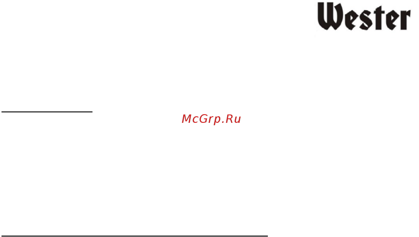 Wester STW10000NP (180-011) Инструкция по эксплуатации онлайн [12/14] 571147