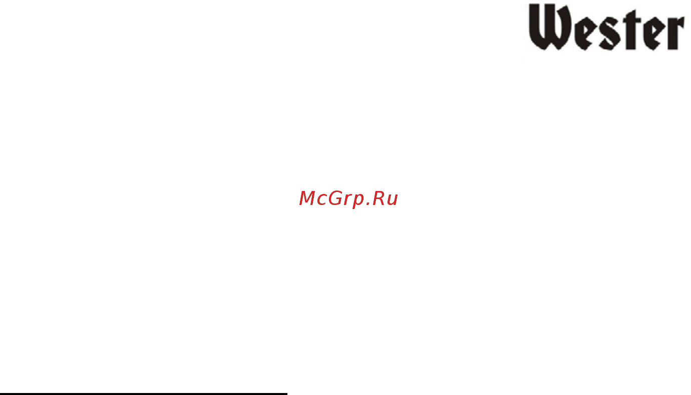 Wester STW10000NP (180-011) Инструкция по эксплуатации онлайн [2/14] 571147