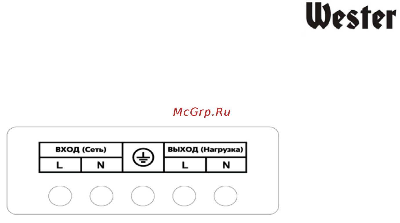 Wester STW10000NP (180-011) Инструкция по эксплуатации онлайн [8/14] 571147