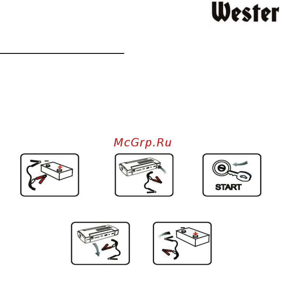 Wester Zeus 600 (901-007) Инструкция по эксплуатации онлайн [8/16] 571161