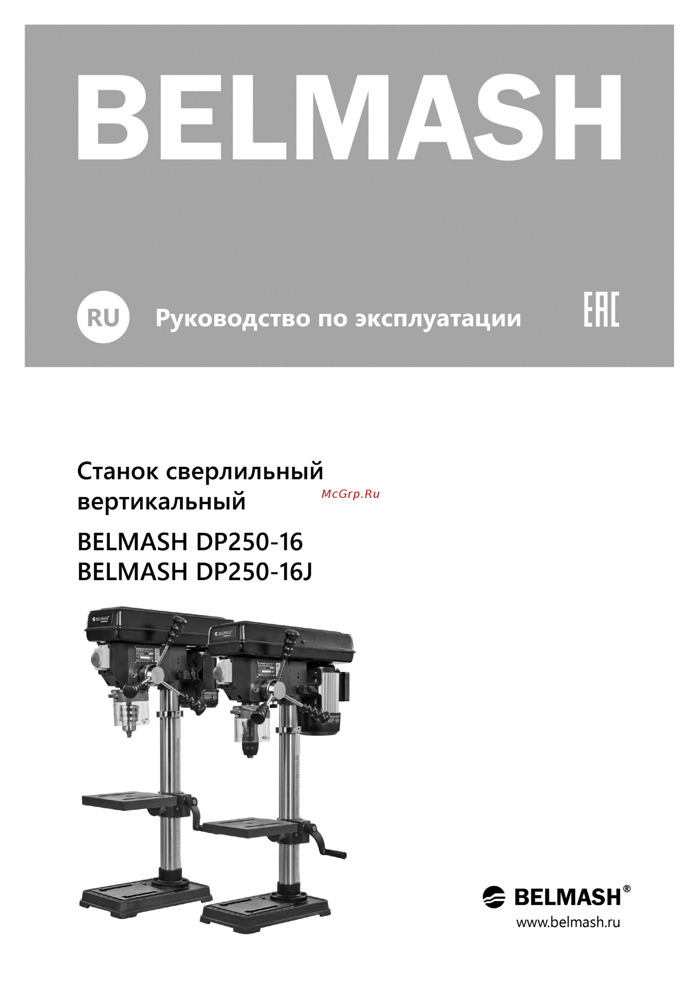 Белмаш DP250-16 Инструкция по эксплуатации онлайн