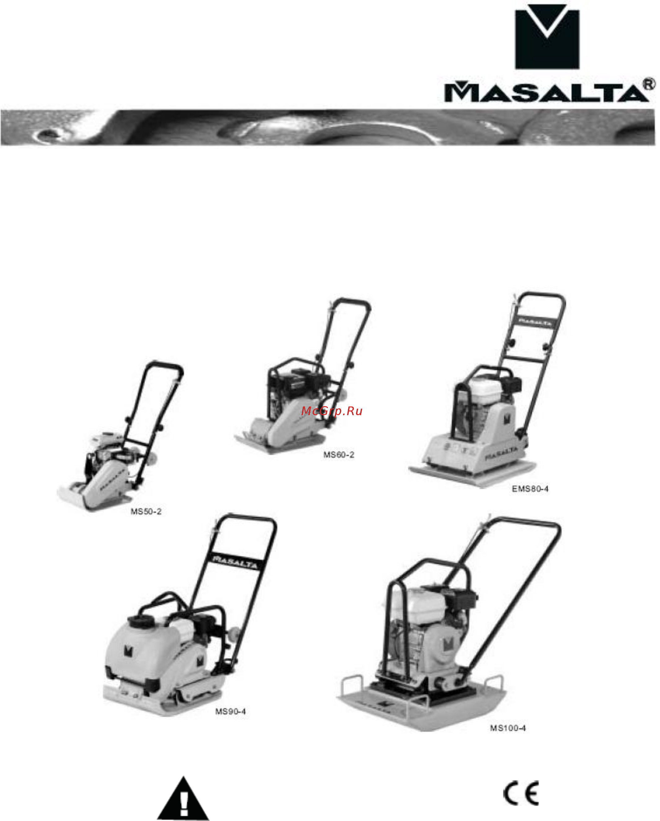 MASALTA MS250-1S Инструкция по эксплуатации онлайн