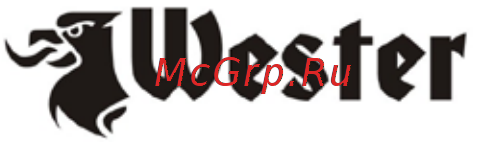 Wester Компрессор LE 024-150 OLC +Шланг 814-007 пневматический спиральный +Пистолет продувочный BP-10 [12/14] Производитель рекомендует следующие комплектующие для работы с компрессором
