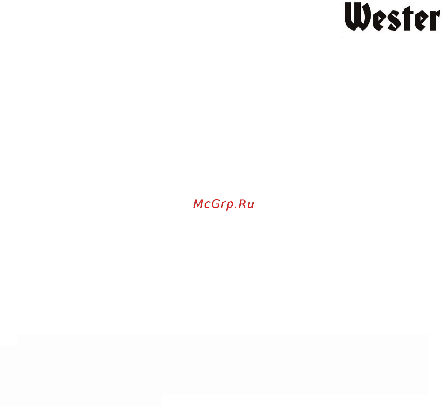 Wester TSL200B (157-015) Инструкция по эксплуатации онлайн [6/20] 587154