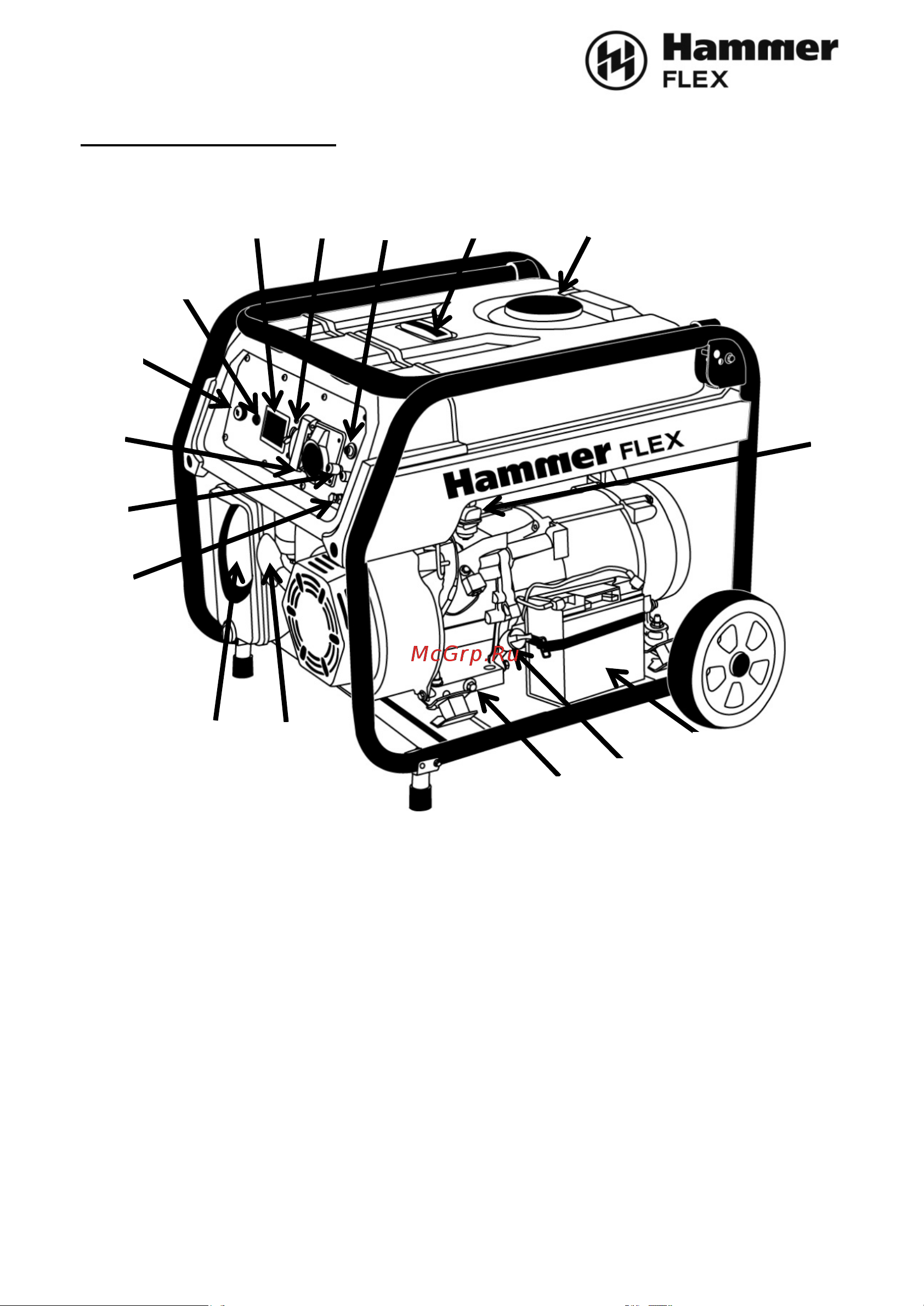 Hammer Flex GN3000 (106-036) Инструкция по эксплуатации онлайн [5/24] 571126