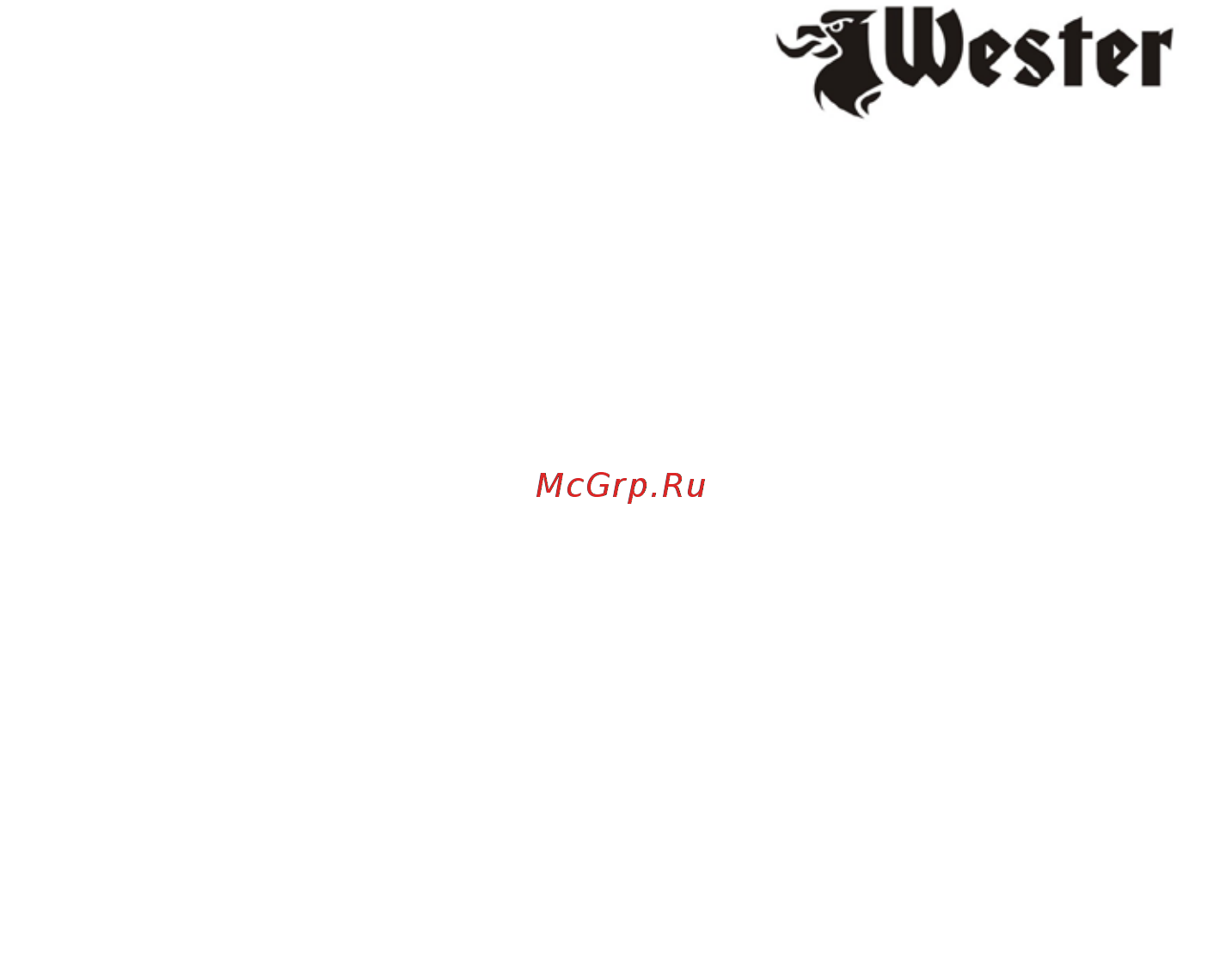 Wester MSW600 Инструкция по эксплуатации онлайн [2/12] 507686