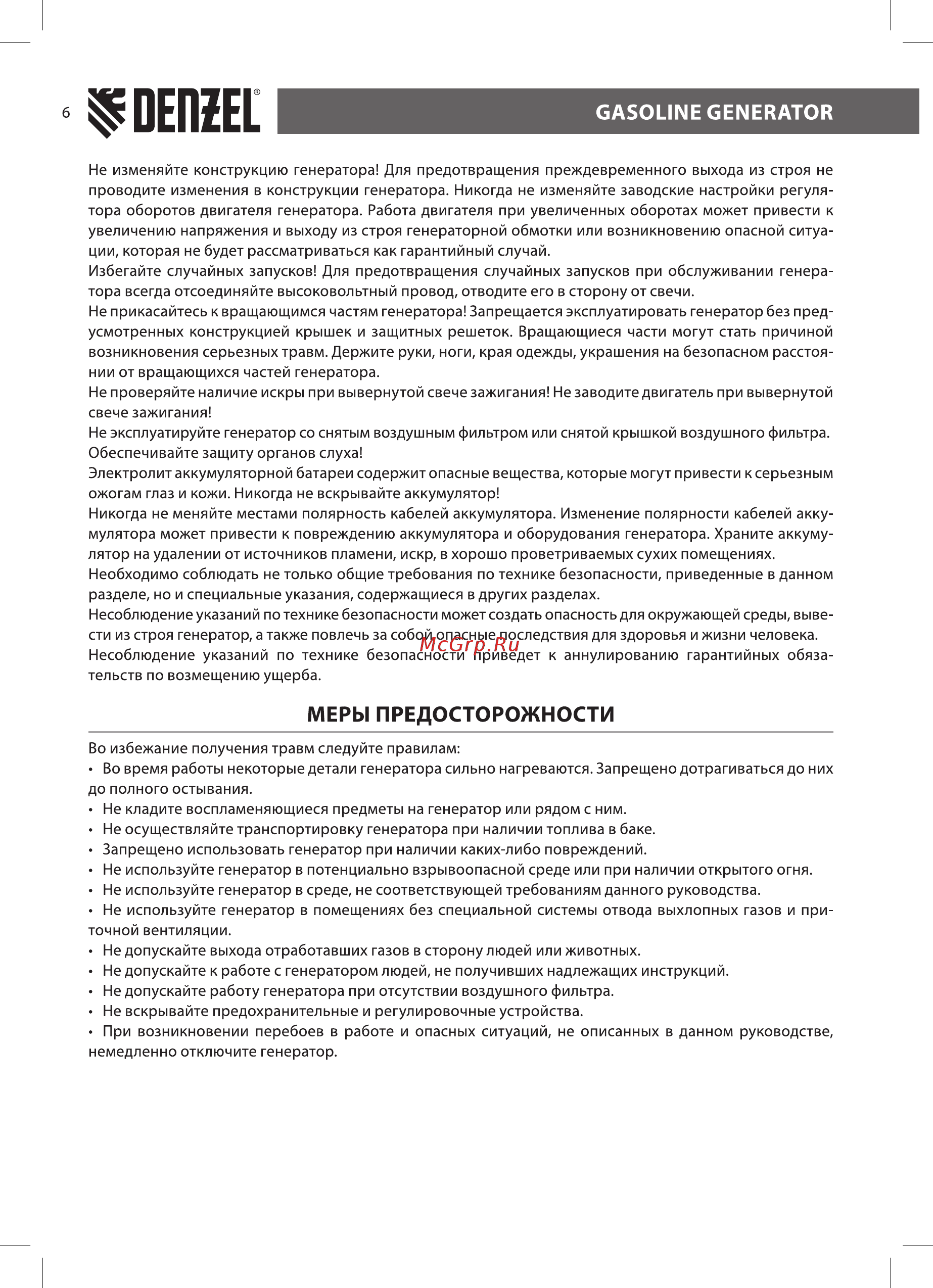 Denzel PS 80 EA (946924) [6/24] Меры предосторожности