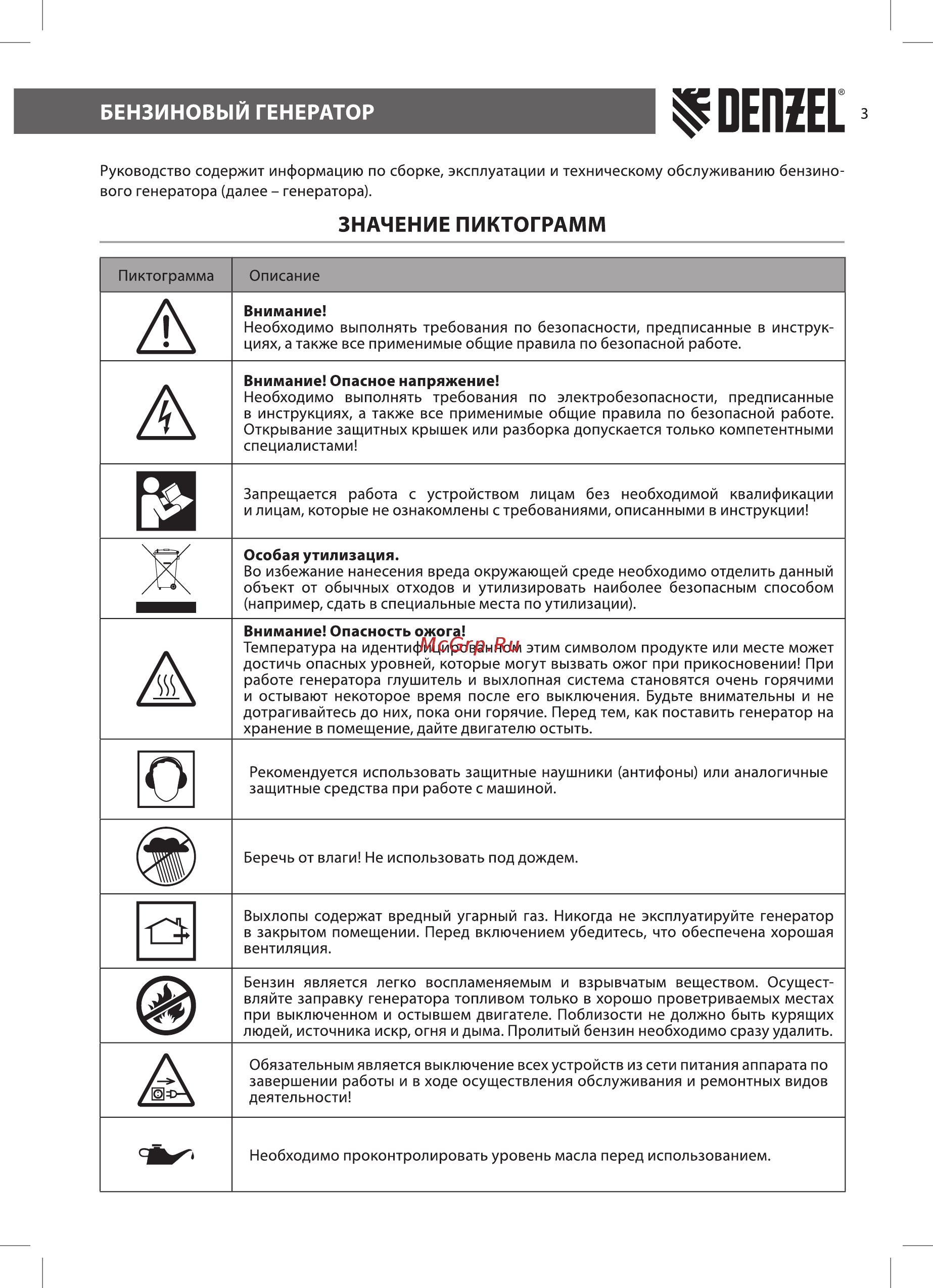 Denzel PS 33, 3,3 кВт, 230В, 15л, ручной стартер 946834 [3/24] Значение пиктограмм