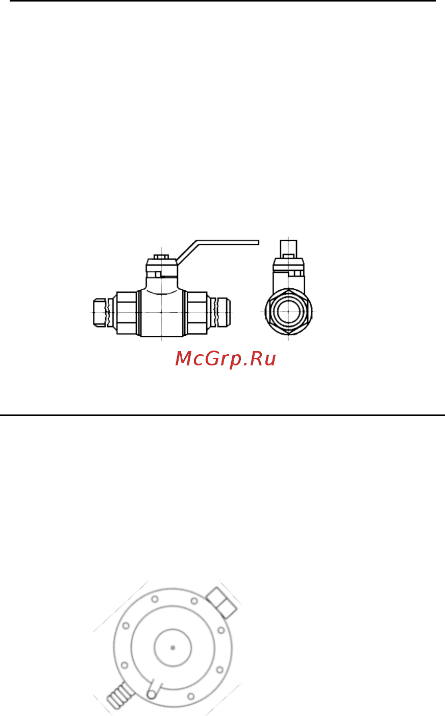 Reg GG4500-X Инструкция по эксплуатации онлайн [4/12] 508352
