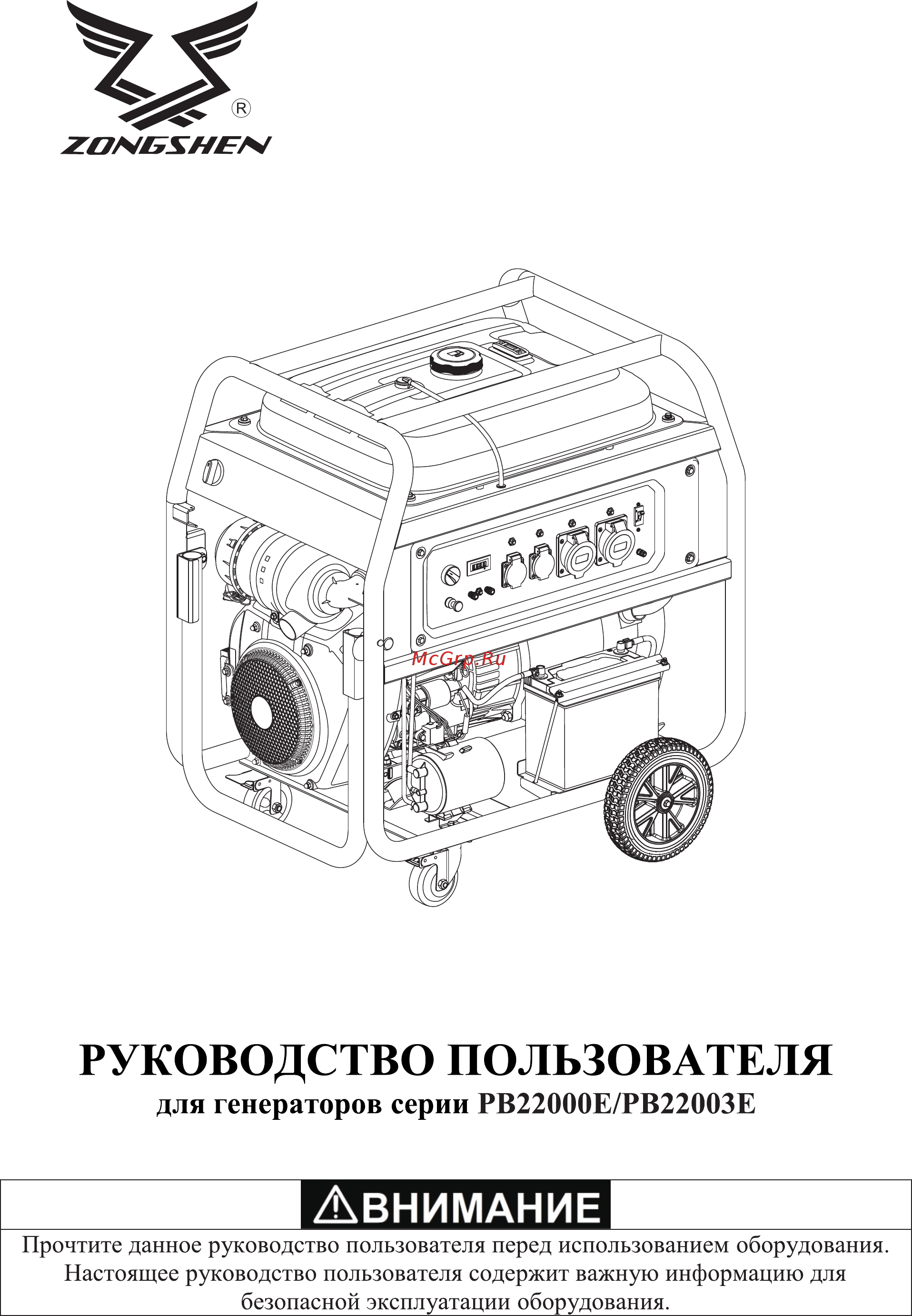Zongshen PB 22000 E Инструкция по эксплуатации онлайн