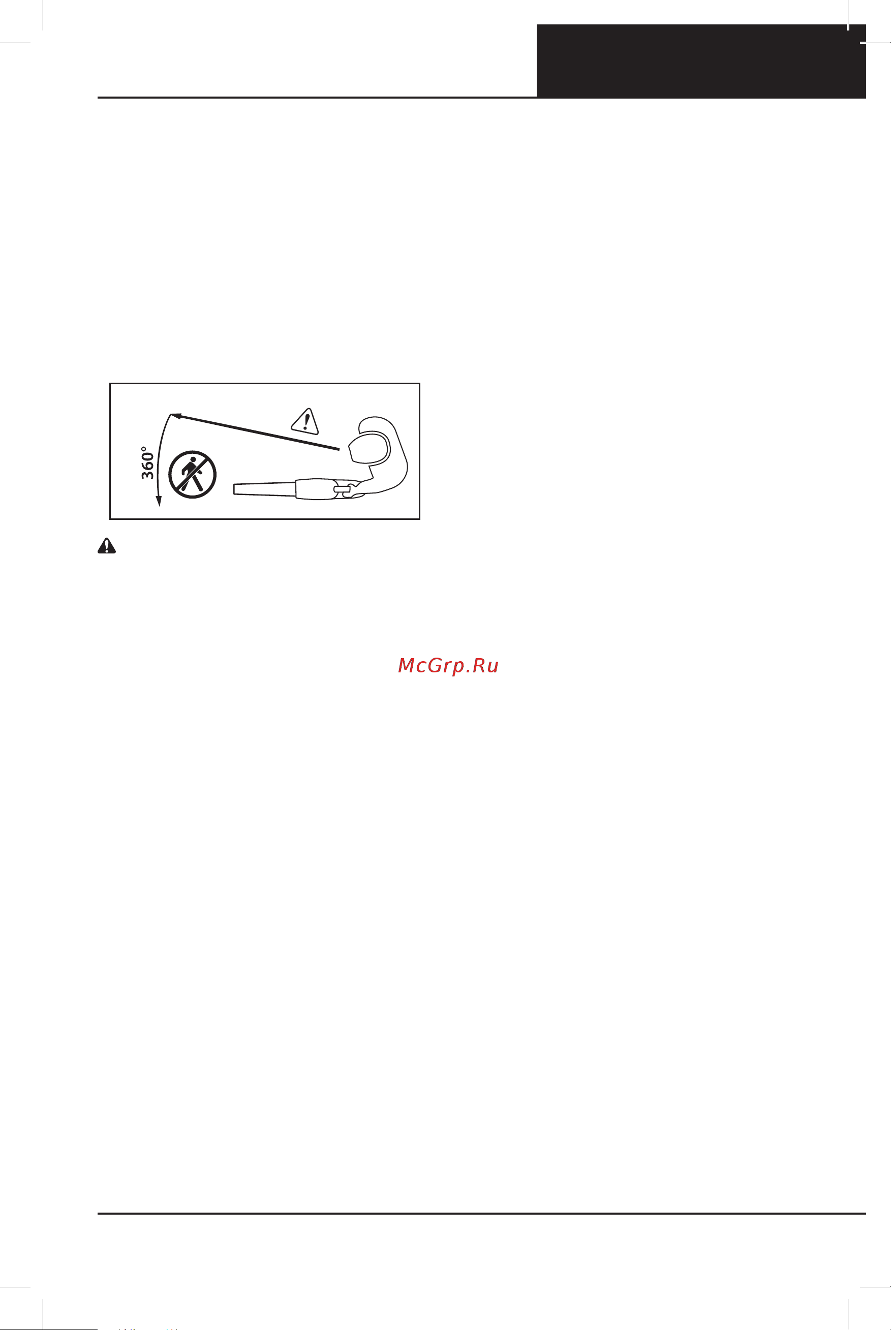 Oregon BL300 609459 без акк. и з.у [11/464] Electrical safety