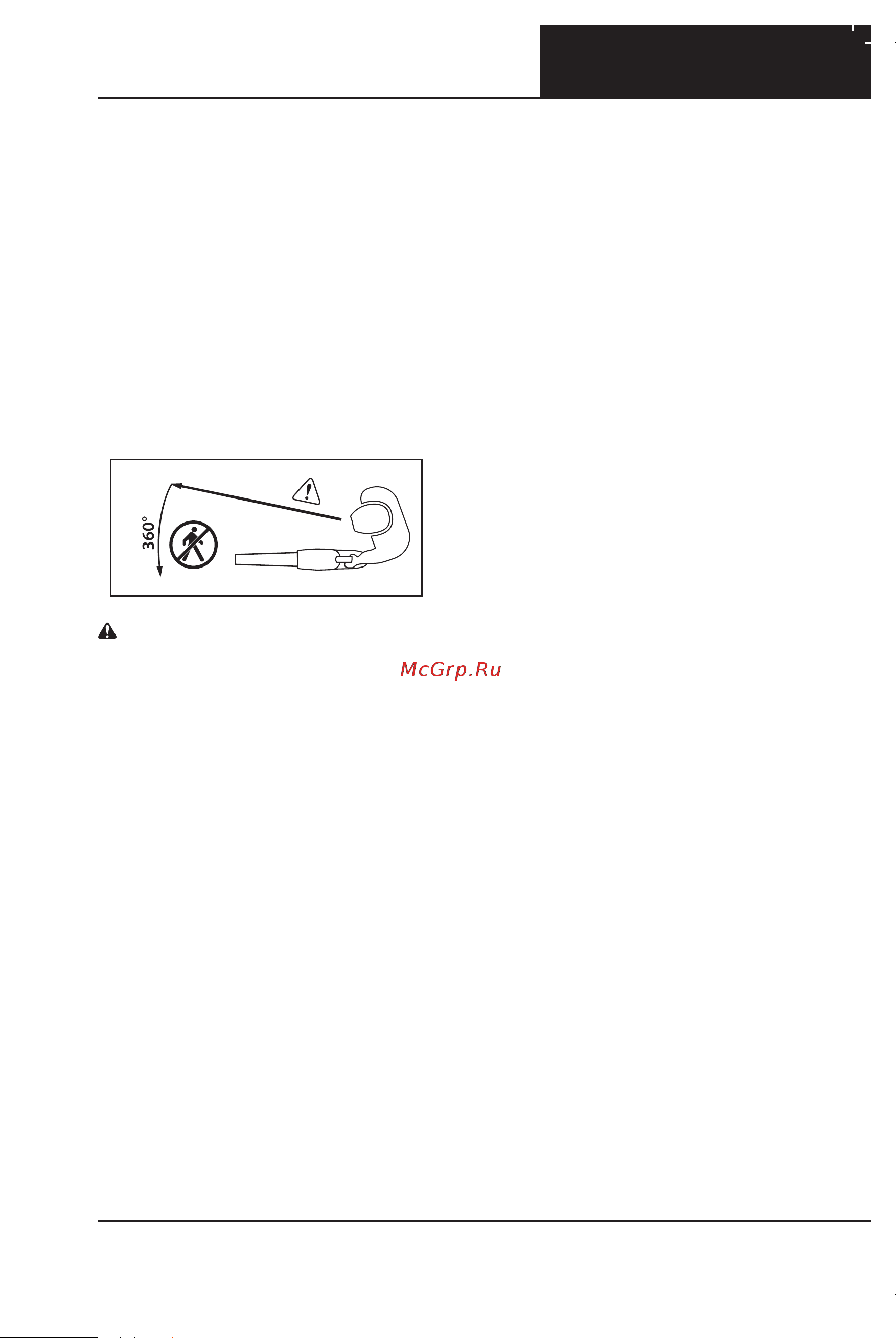 Oregon BL300 609459 без акк. и з.у [59/464] Elektrische sicherheit