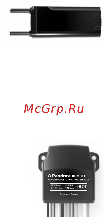 Pandora PANDECT IS-577BT 9053001 [17/19] Гарантийные обязательства
