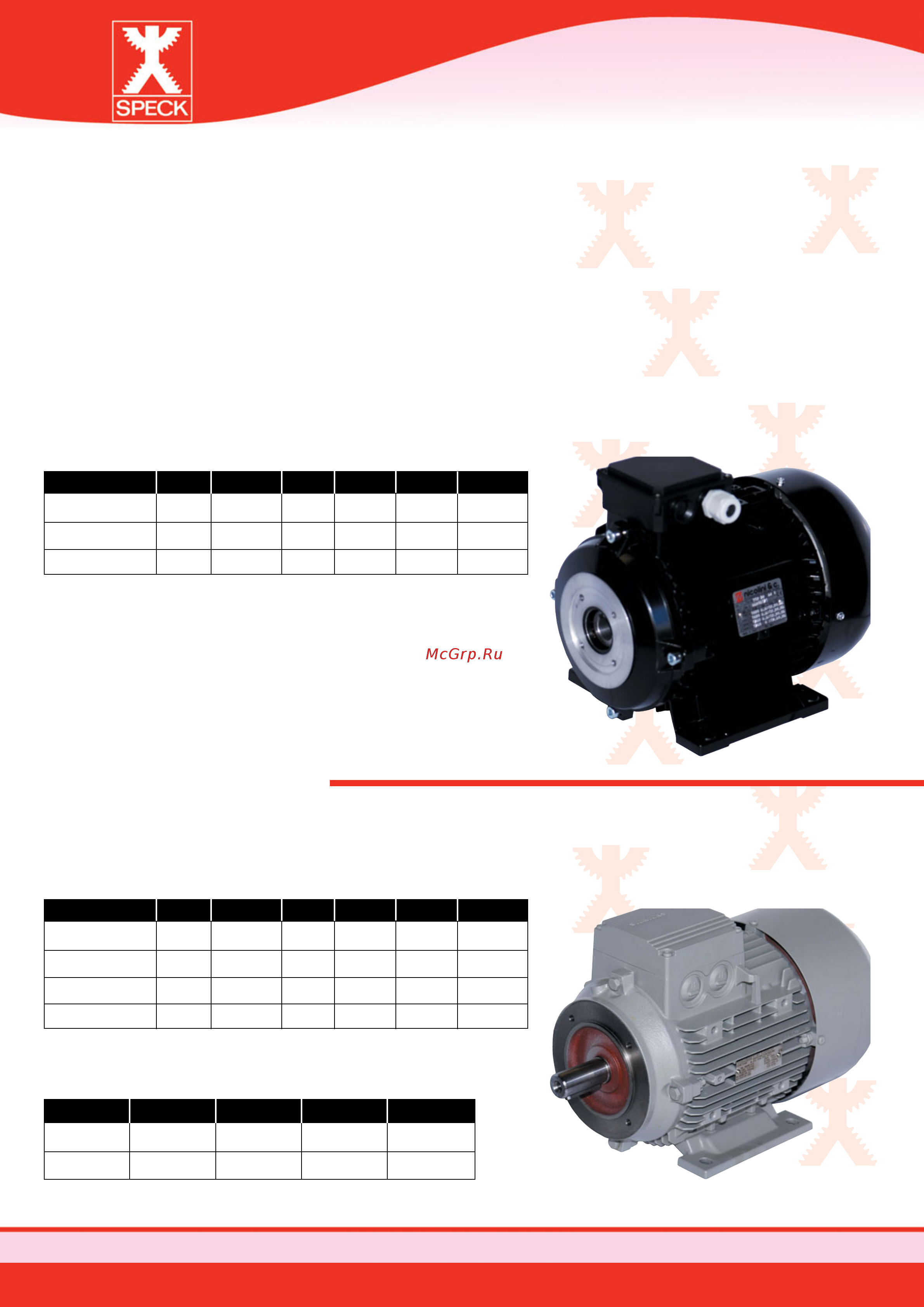 SPECK Pumpen P55/26-800 [17/68] Motors