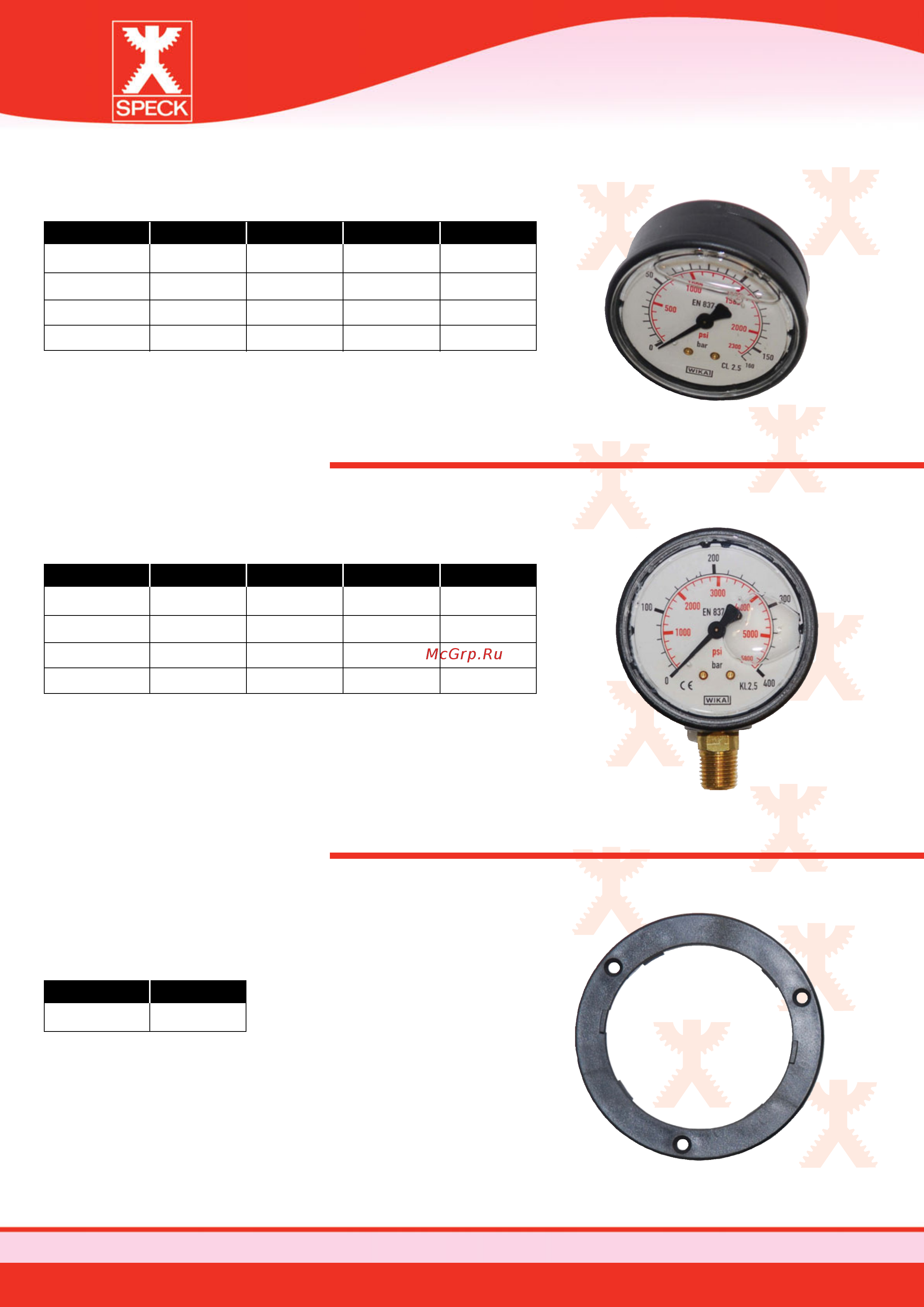 SPECK Pumpen P52/60-120C [37/68] Hole plastic flange