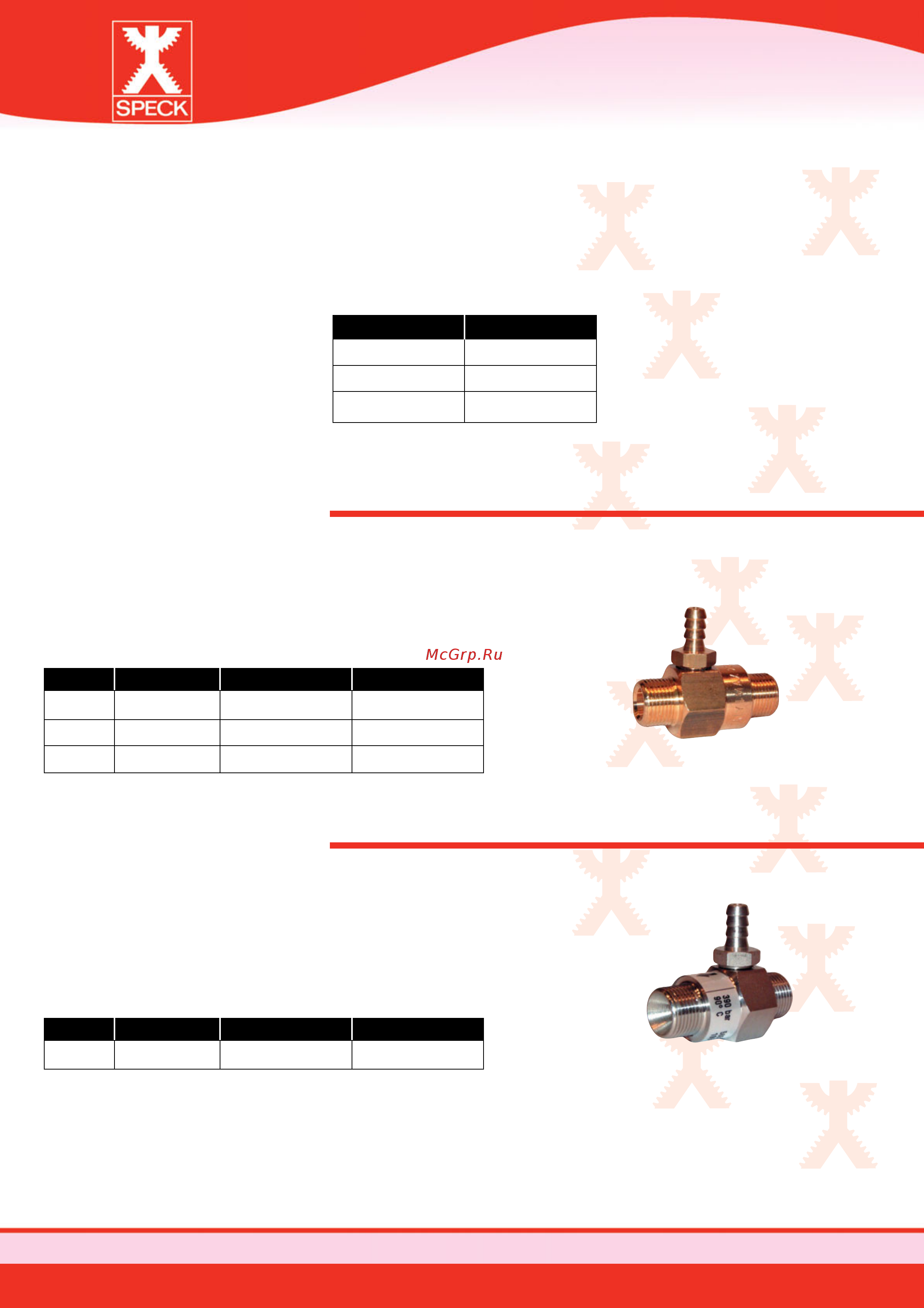 SPECK Pumpen P55/26-800 [43/68] Fixed siphon injectors