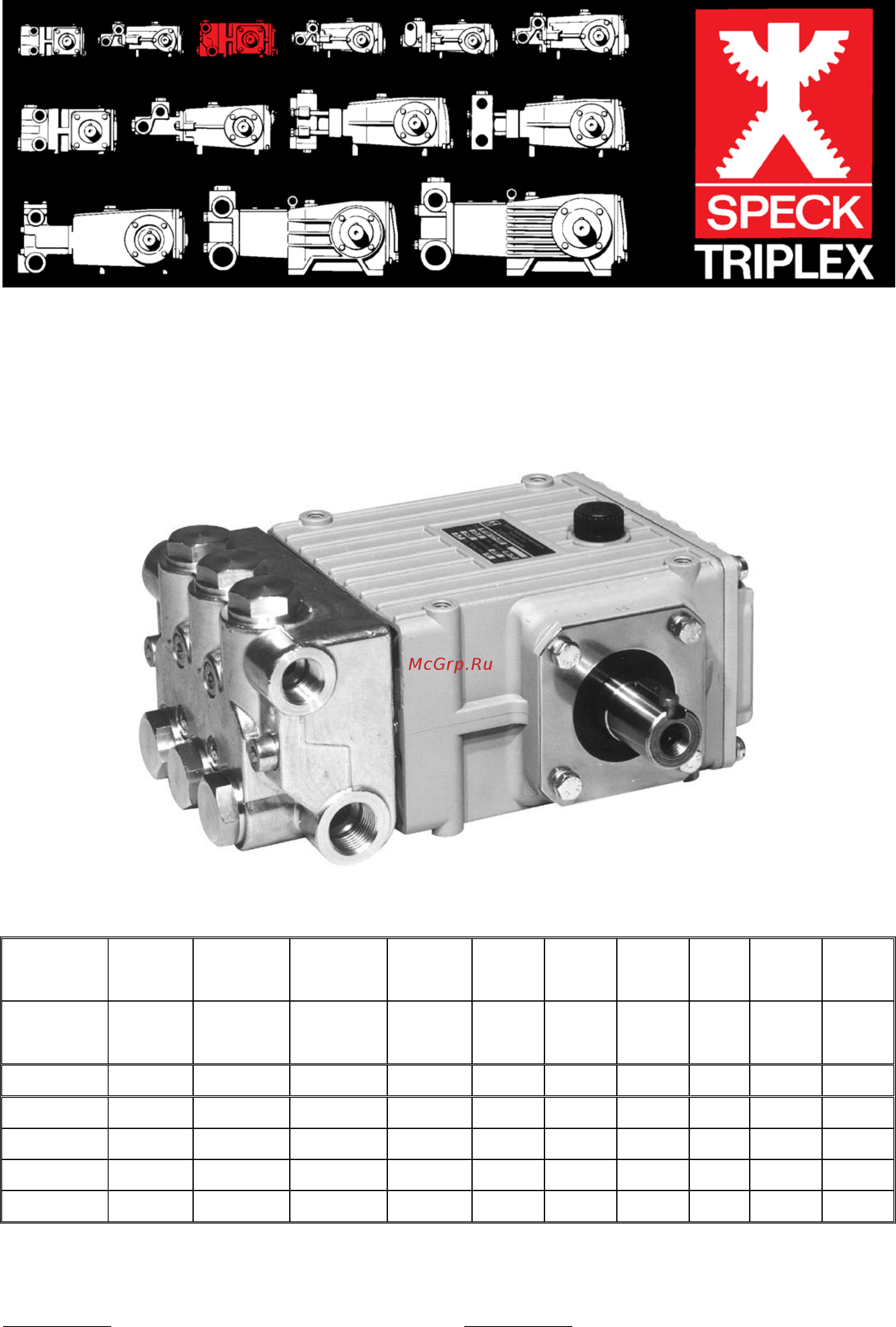 SPECK Pumpen NP16/13-220 Инструкция по эксплуатации онлайн