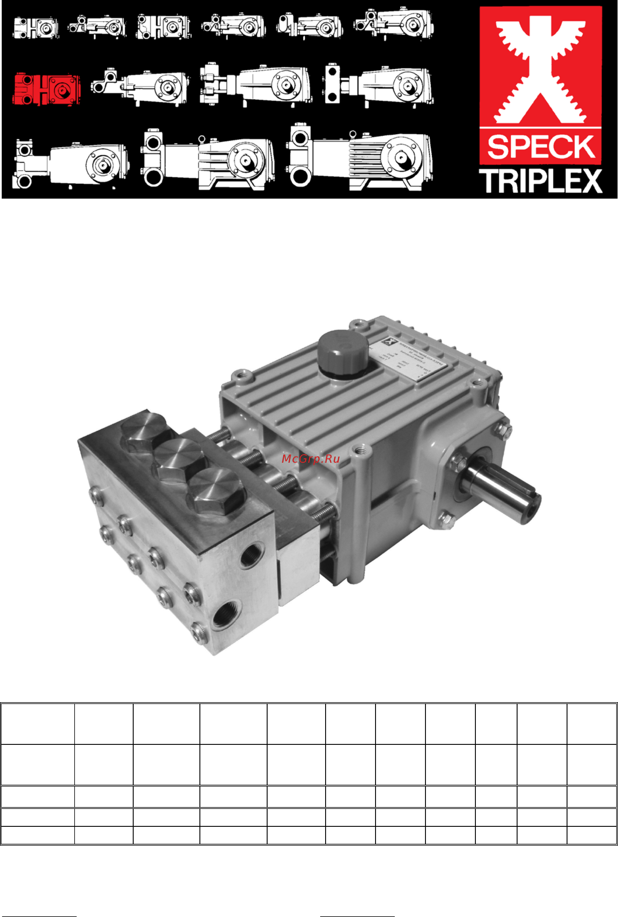 SPECK Pumpen NP25/41-140RE Инструкция по эксплуатации онлайн
