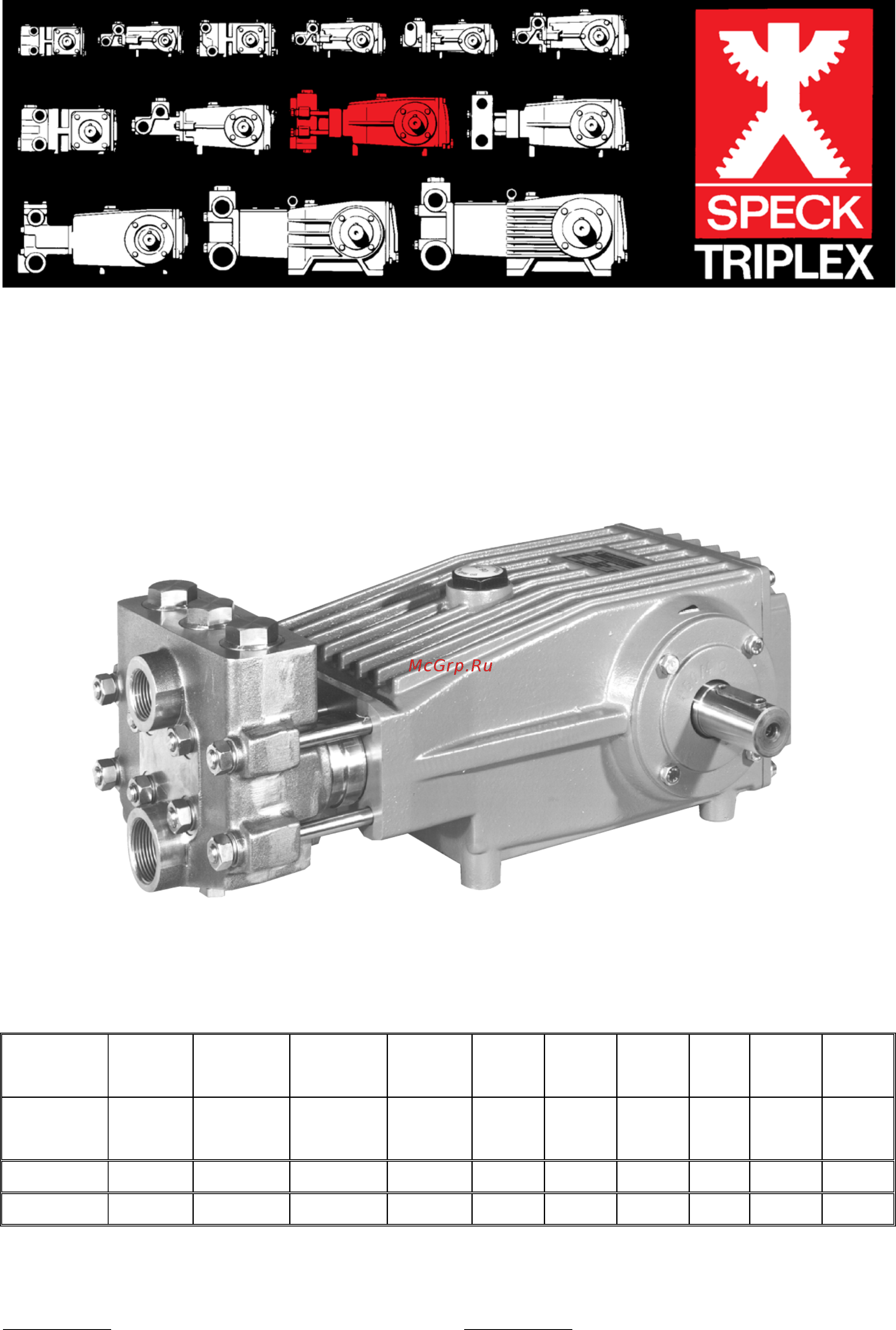 SPECK Pumpen P50/94-110R Инструкция по эксплуатации онлайн